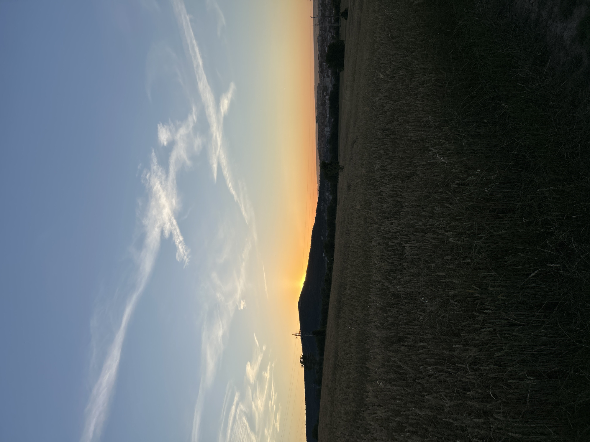 A low-angle, full shot captures a wheat field in silhouette against a dusk sky. The field, in the foreground, is dark and textured, with individual stalks of wheat visible. Beyond the field, a distant hillside is silhouetted, with the sun dipping below its crest, casting an orange glow. A few trees and power lines dot the landscape. In the far distance, a city skyline is visible, bathed in the warm light of the setting sun. Wispy clouds drift across the pale blue sky.