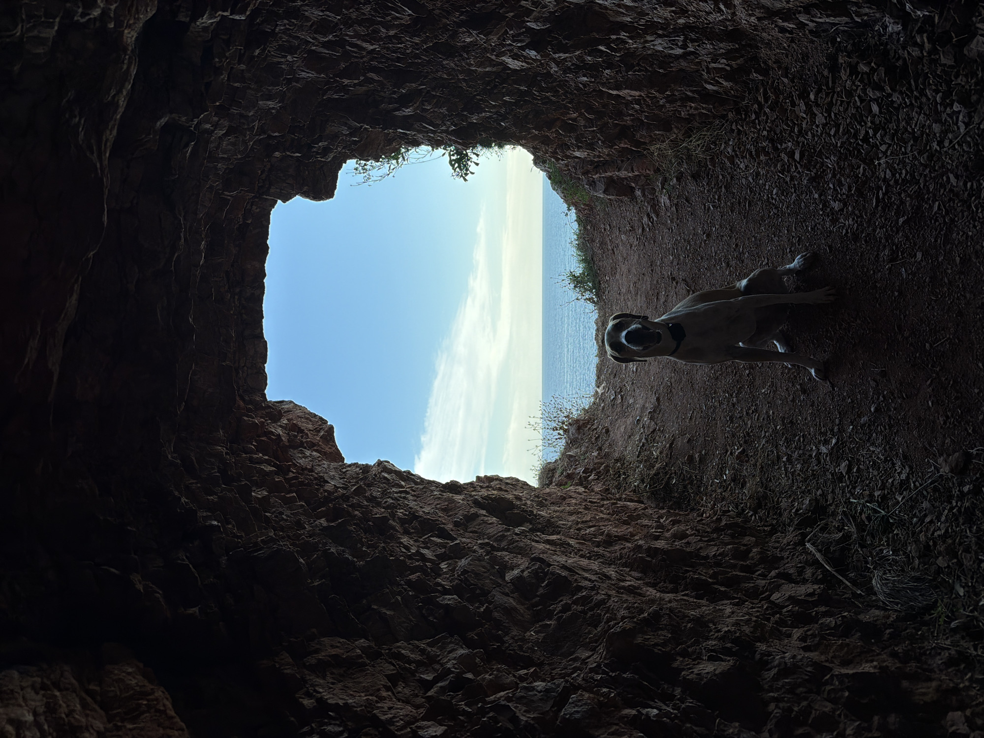 A medium shot captures a dog sitting on a dirt path inside a cave-like opening. The dog is light-colored with dark markings around its eyes and ears, and appears to be a mixed breed. It is wearing a dark collar. The cave walls are rough and rocky, with a textured, reddish-brown appearance. The opening of the cave frames a view of a bright blue sky with scattered white clouds and the ocean in the distance. The sun appears to be setting, casting a warm glow on the scene. The overall impression is one of natural beauty and tranquility.