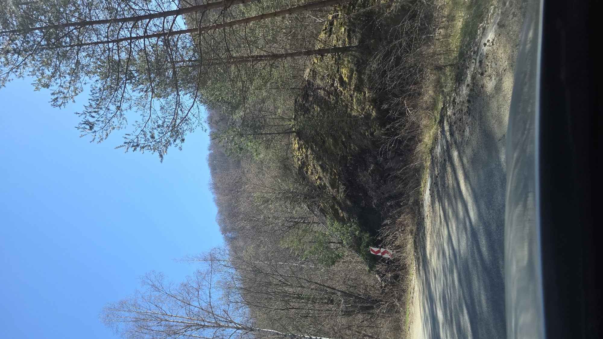 A roadside scene. A narrow paved road runs vertically along the right side of the image. A steep embankment covered with trees and sparse vegetation rises to the left of the road. A red and white striped sign is partially visible on the embankment. Trees with bare branches are silhouetted against a clear blue sky in the upper left quadrant. The image appears to be taken from inside a vehicle, as part of a car window is visible in the rightmost section. Location is uncertain, but the question supposes it is near Blagoevgrad, Bulgaria.