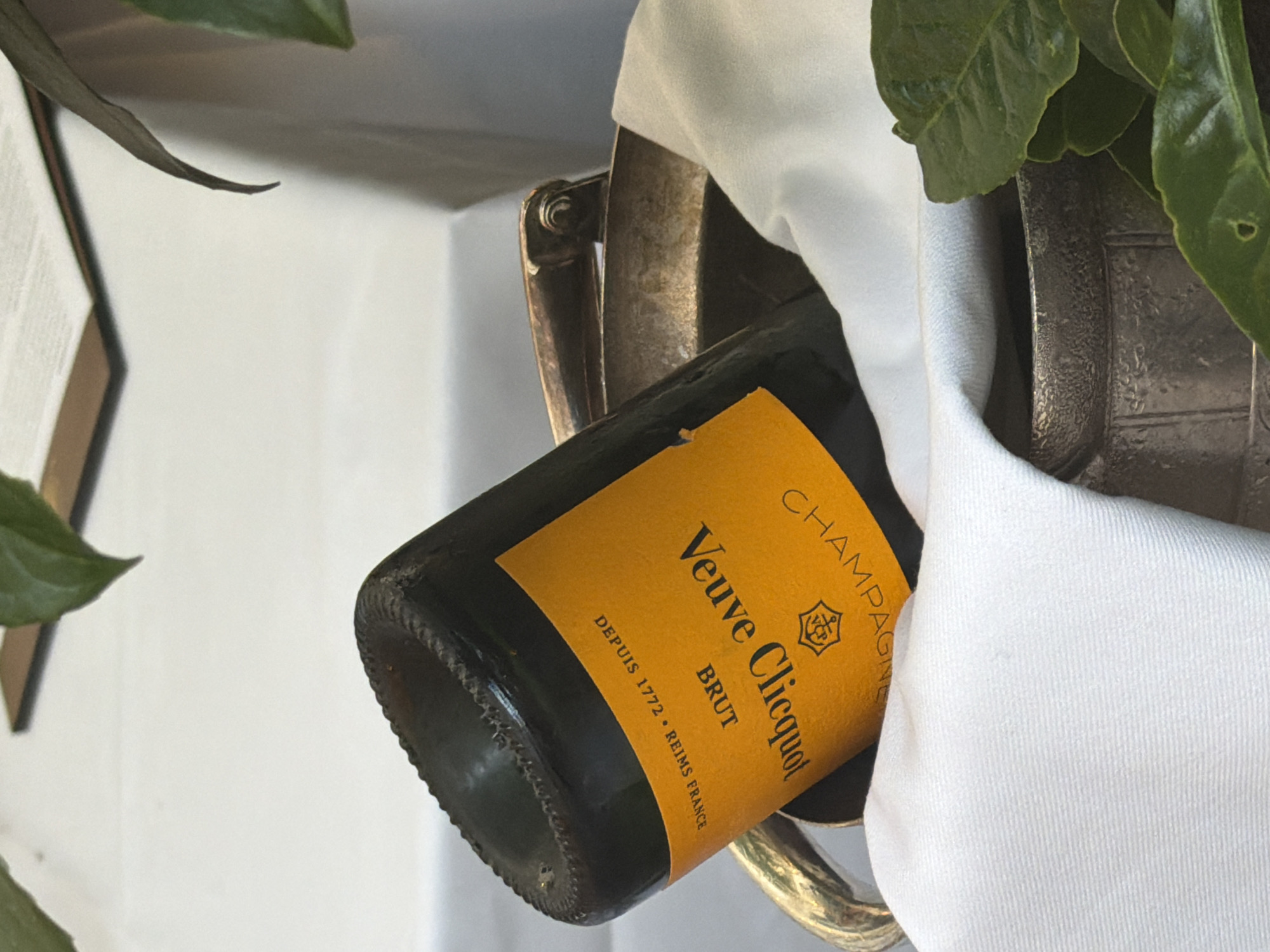 A tilted close-up shot features a Veuve Clicquot Brut champagne bottle nestled in a silver ice bucket, draped with a white cloth. The bottle's label is prominently displayed, indicating the brand, type, and origin (Reims, France). Green foliage surrounds the bucket, adding a natural element to the composition. The background is a plain white wall, partially obscured by the leaves, suggesting an indoor setting. There are no people visible in the frame.