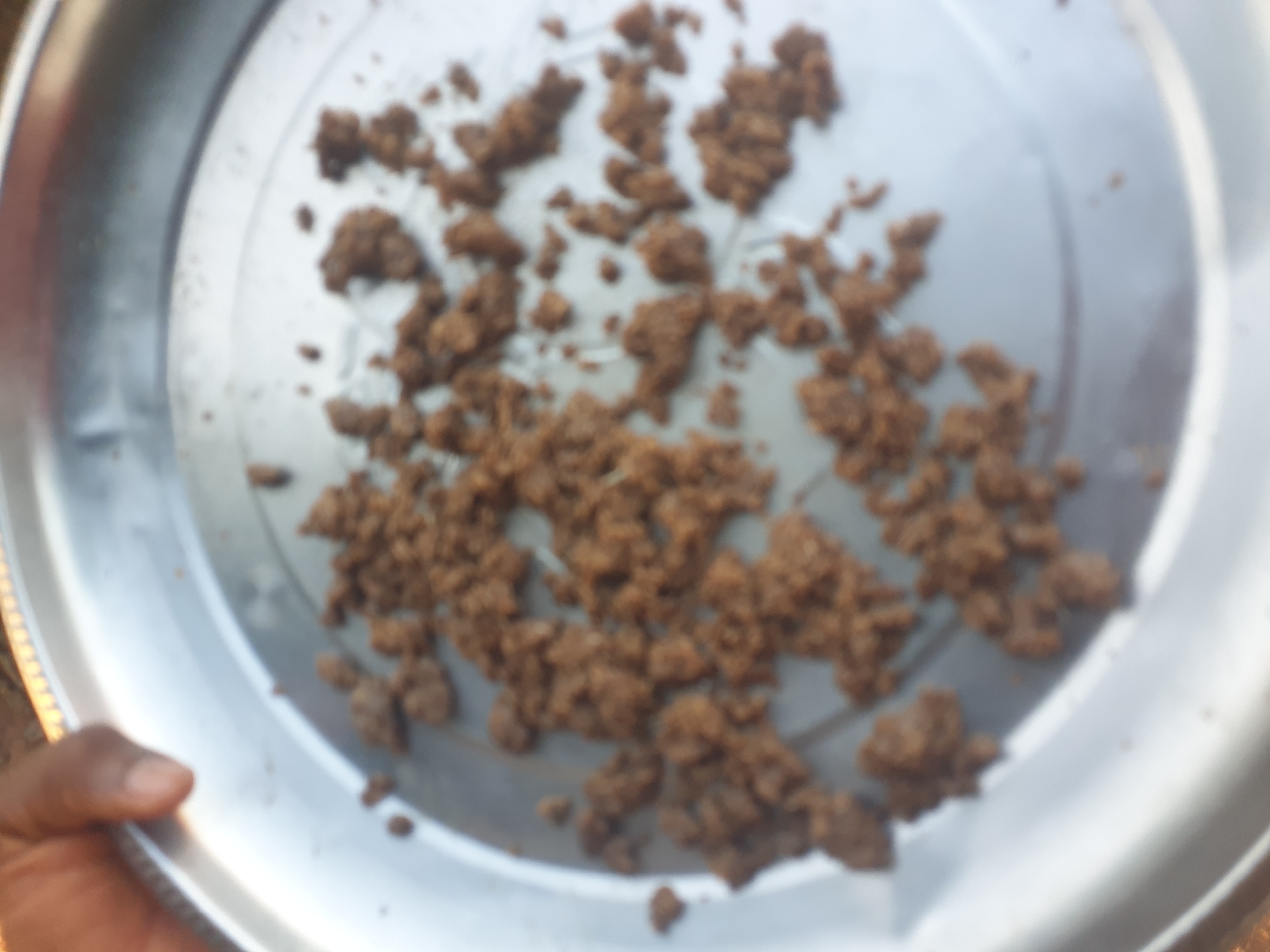 A blurred, overhead perspective captures a dark-skinned human hand holding the rim of a round, metallic silver plate or tray. Scattered across the plate's surface are numerous irregularly shaped, dark brown, granular, or crumbly fragments varying in size. The background is indistinct and out of focus, suggesting an outdoor or brightly lit environment, with no discernible features specific to the location of Unknown, Unknown.