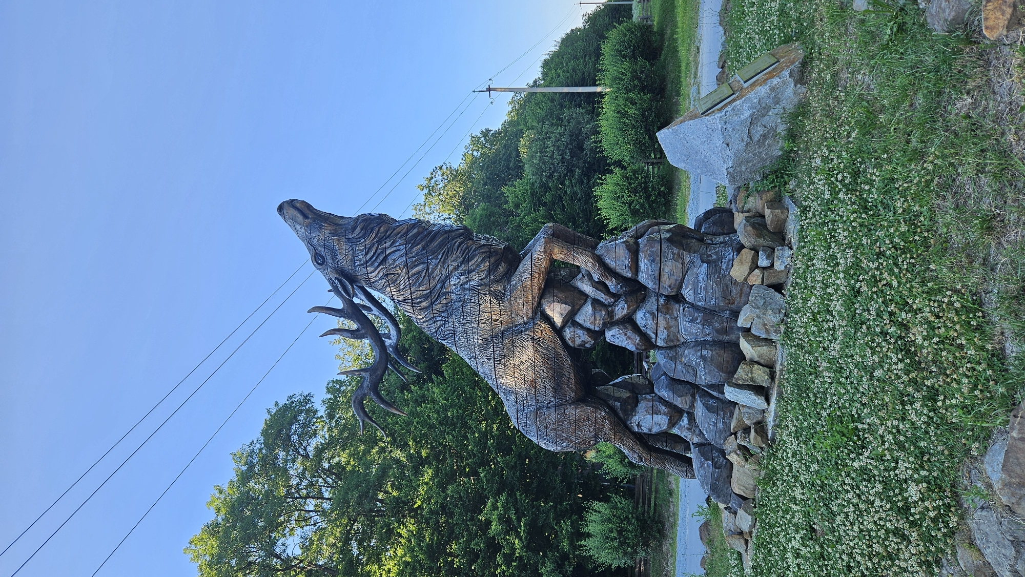 The image shows a large wooden sculpture of a stag with impressive antlers, positioned on a rocky base. The stag is depicted in a rearing stance, with its head thrown back and mouth open, as if in a bellow or call. The sculpture is detailed, with visible wood grain and carving marks, giving it a textured appearance. The rocky base is made up of various irregularly shaped stones, some appearing natural and others carved to mimic rocks. The sculpture is situated outdoors, surrounded by lush green grass and clover in the foreground. In the background, there are dense trees, bushes, and a clear blue sky with power lines visible. To the right of the sculpture, a large, angular grey rock stands upright, with what appear to be two small wooden plaques attached to its side. The overall scene suggests a public space or park, possibly a landmark or decorative installation. The text on the plaque and context from the location indicate this is the Stag Monument in Lomachyntsi, Ukraine.