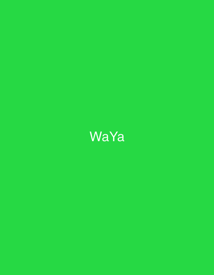 The image displays a solid, bright green background. Centered horizontally and slightly above the vertical midpoint of the image, the text "WaYa" is rendered in white, sans-serif font. No other subjects, objects, people, actions, or environmental details are present. The image does not contain any visual information to determine a location in the city of Casablanca, Morocco, or any other physical location.