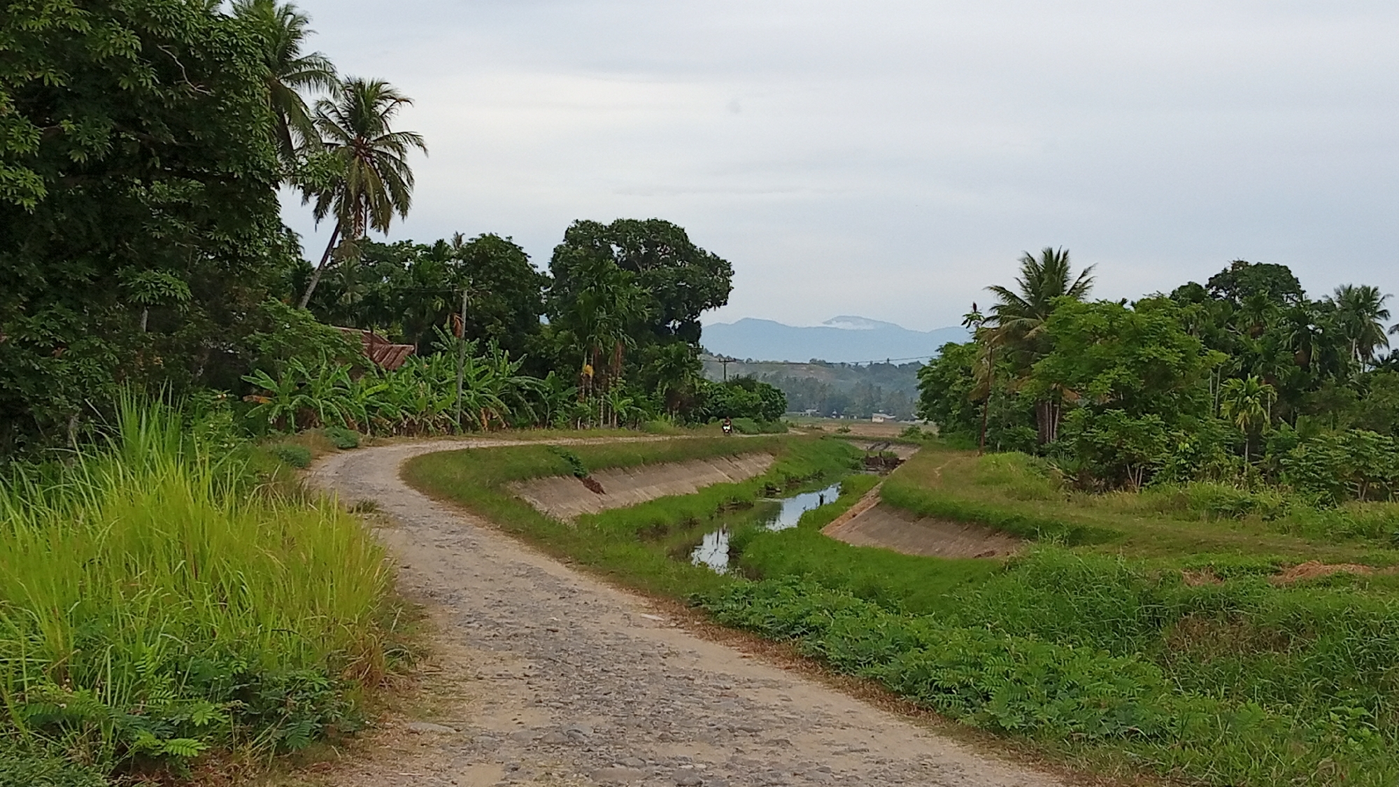 The image shows a rural scene in Buketteukuh, Indonesia. A dirt road curves through the left side of the frame, bordered by tall green grass and lush vegetation, including banana trees and palm trees. To the right of the road is a concrete canal with water flowing through it, lined with more green grass and foliage. In the distance, a person is visible riding a motorcycle on a path parallel to the canal. Beyond the canal and vegetation, rolling hills are visible, culminating in hazy blue mountains under a cloudy sky. A few scattered buildings can be seen in the middle ground. The overall impression is of a peaceful, natural landscape.
