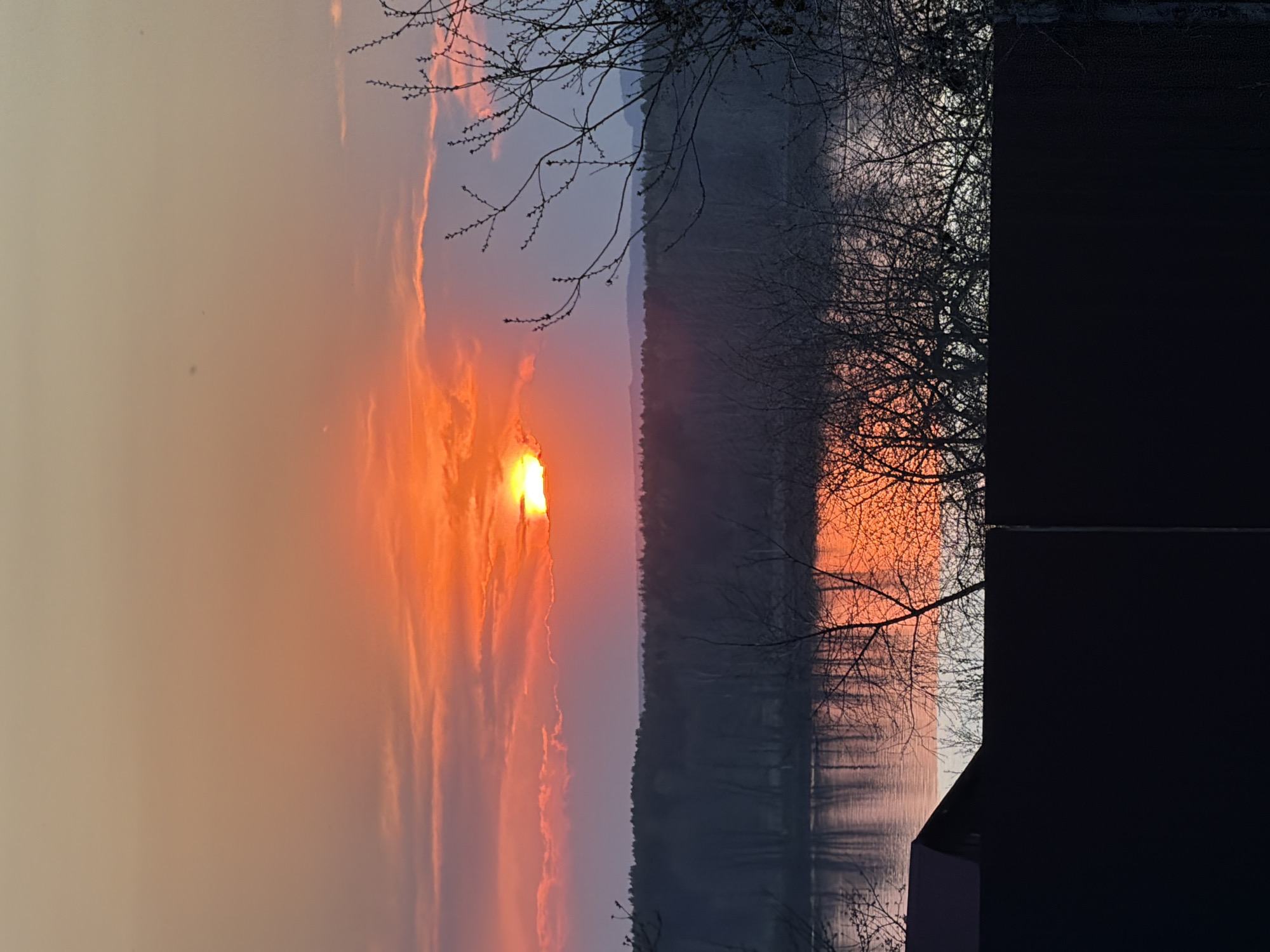 The image depicts a sunset in Chaikovsky, Russia. The sun is visible through clouds, casting orange light across the sky and reflecting on a body of water. A forest line is visible in the middle ground. Silhouetted tree branches and a dark building are present in the foreground.