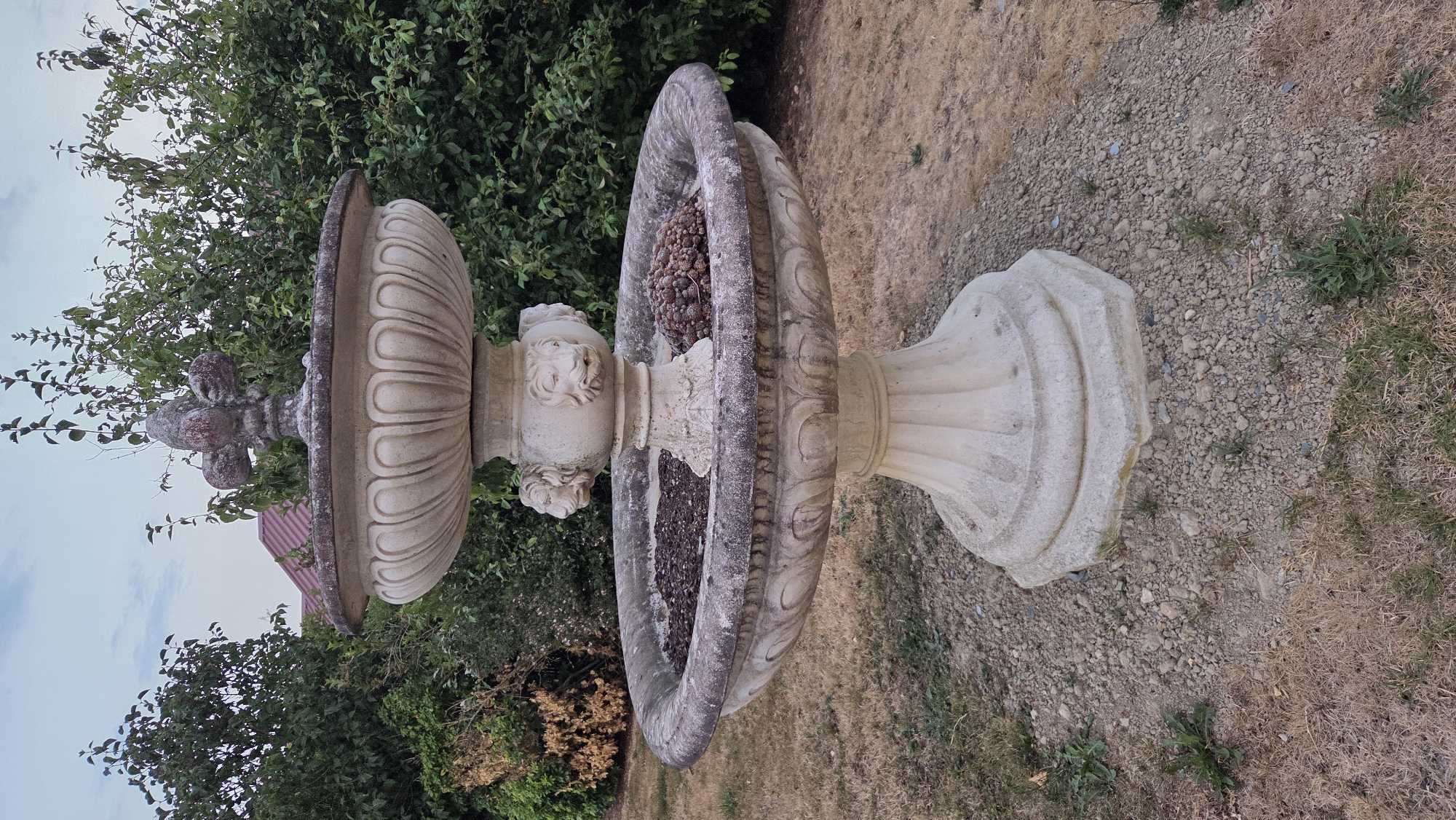 The image depicts a two-tiered, ornate stone fountain situated outdoors. The fountain is a creamy beige color, with a weathered appearance showing some darkening and staining on the surfaces. The upper basin is smaller and more intricately decorated, topped with a decorative finial resembling a fleur-de-lis. The lower basin is wider and deeper, with decorative carvings around its rim and several carved lion heads projecting from the central support column. The lower basin contains some dark-colored ground cover, possibly mulch or soil, and a cluster of dark, reddish-brown, cone-shaped objects, possibly dried pinecones or seed pods, in the foreground. The fountain stands on a base surrounded by gravel and dry, brown grass. In the background, lush green trees and bushes create a dense natural setting. A portion of a building with a reddish-pink roof is visible through the foliage. The sky above is overcast with soft clouds. The overall impression is of a garden feature in a rural or suburban environment. The specific location in Macé, France is not discernible from the image itself.
