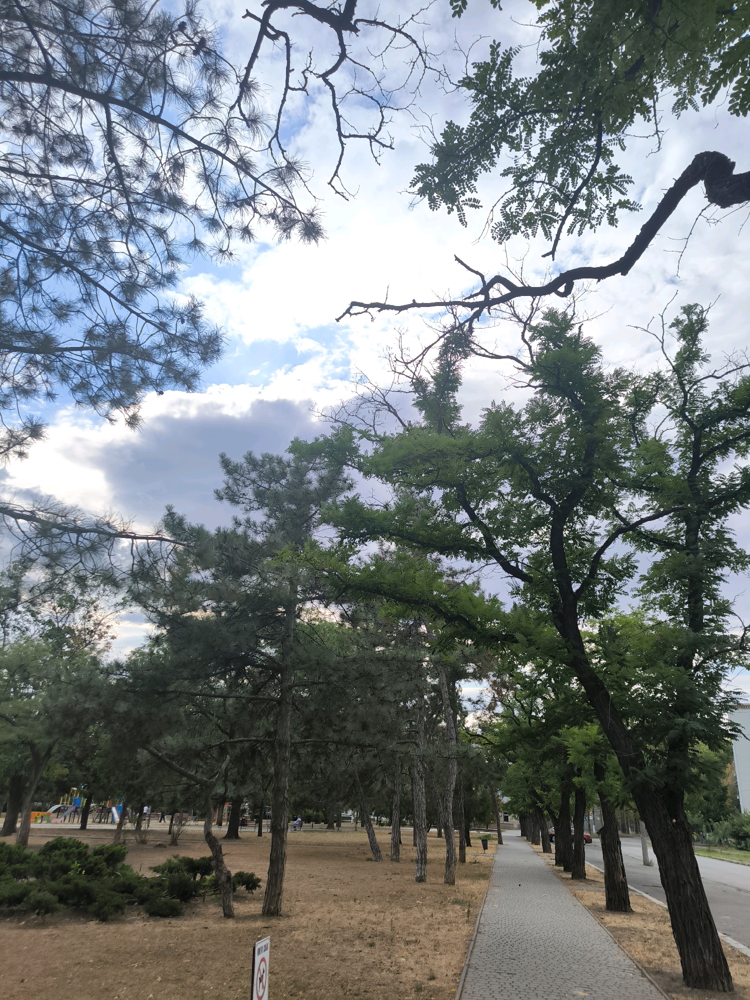 The image depicts a park-like area with a paved walkway lined with trees. In the foreground, a dry, grassy area is visible with a sign that appears to prohibit dogs. Beyond the walkway, there are more trees and a playground with colorful equipment in the distance. The sky above is partially cloudy. The scene is likely a public park or a street lined with trees. This area could be located in Mykolaiv, Ukraine, given the prompt.