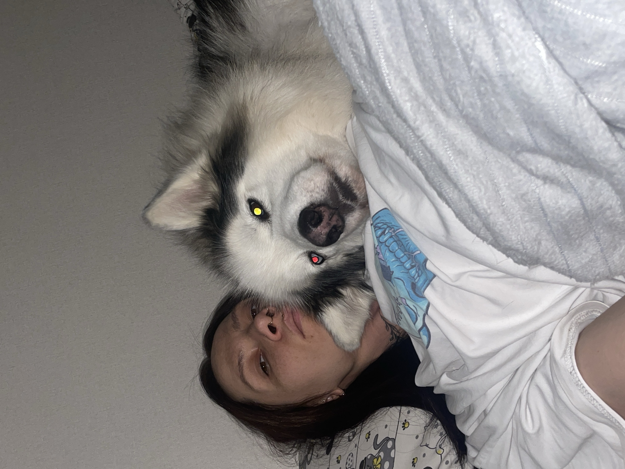 A Caucasian woman with dark hair is lying down, covered in white bedding and a t-shirt, with a large Husky-type dog resting its head on her face. The dog has a predominantly white and grey coat, with one eye appearing yellow due to the flash and the other appearing red. The woman has multiple piercings on her face. The background is a plain, light-colored wall. The location in the city of Pervomaysky, Russia is unknown.