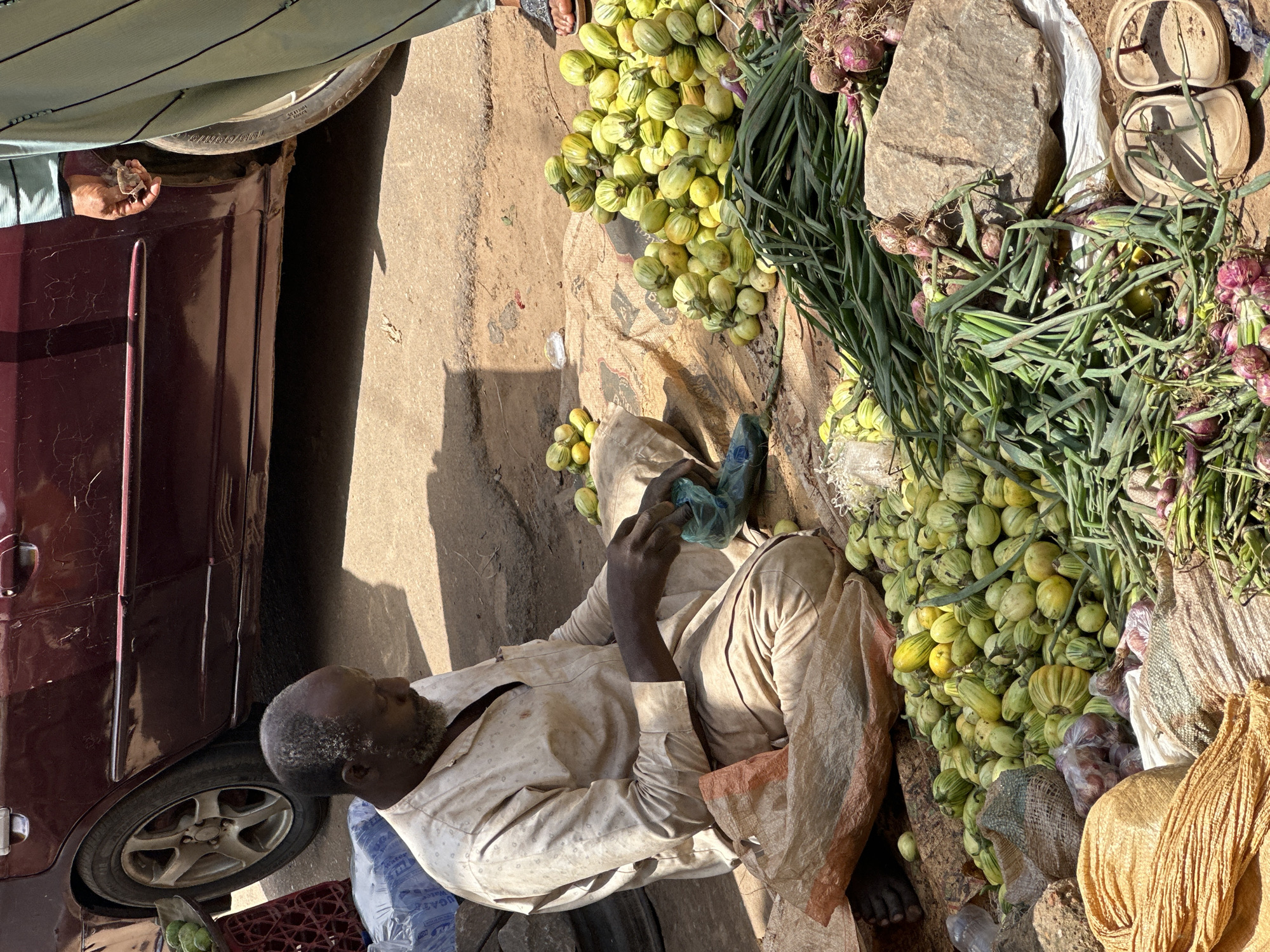 In Narayi, Nigeria, a man sits on the ground in front of a maroon car, his attire a light-colored, patterned tunic and trousers. He is in the process of sorting a plastic bag of green vegetables, his hands engaged in the task. The ground is a mix of dirt and what appears to be a tarp or cloth, upon which are displayed piles of produce. Large quantities of striped green and yellow gourds are prominent, along with bunches of green onions and red onions. The scene is illuminated by direct sunlight, casting shadows on the ground. In the background, a portion of the car's wheel and door are visible. To the right, another person, wearing a light blue garment with dark trim, stands near the car, their feet visible. The overall impression is of an outdoor market stall.