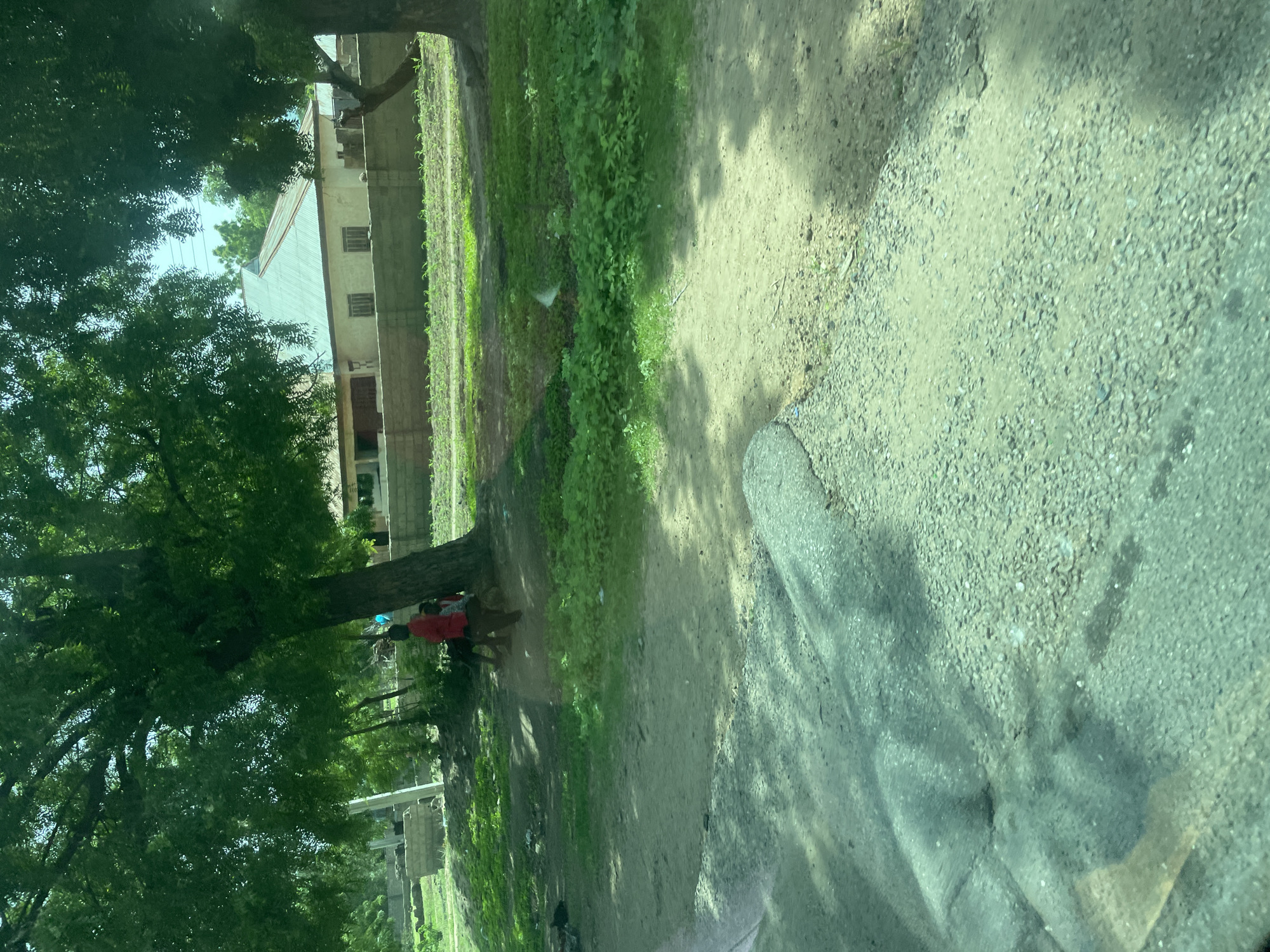 In the city of Ture-Balam, Nigeria, three young children are standing beneath a large tree. One child wears a red shirt. The ground is a mix of dirt and gravel, and a paved road is visible in the foreground. Behind the children, a low concrete wall surrounds a field with young crops. Further back, a building with a corrugated metal roof is visible. The scene is characterized by lush green trees and vegetation, suggesting a rural or semi-rural environment.