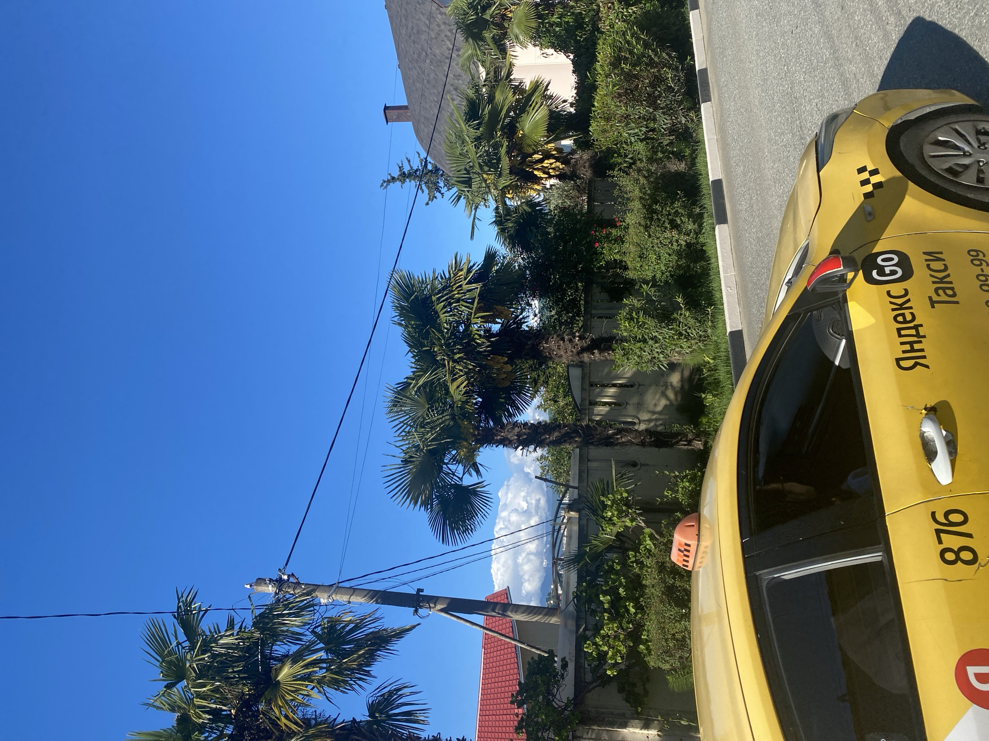 The image shows a street scene in Sochi, Russia, with a bright blue sky overhead. Palm trees are visible along the side of the road, as well as houses with red and grey tiled roofs. A yellow Yandex Go taxi is parked on the right side of the image, with the company logo clearly visible on the side of the car. The license plate number '876' is printed on the side of the taxi. The environment appears sunny and the vegetation is lush.