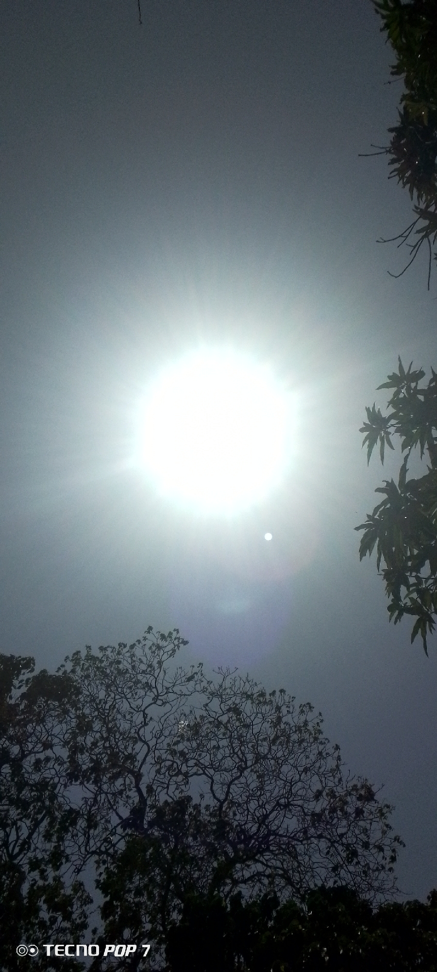The image, taken with a Tecno Pop 7, shows a bright sun in the sky, partially obscured by atmospheric haze. A smaller, dimmer light source is visible beneath the sun. Tree branches and foliage are visible in the foreground and upper right corner. The city of Altagracia, Venezuela is not discernible within the image. There are no people, subjects, objects, actions or interactions other than these to describe.