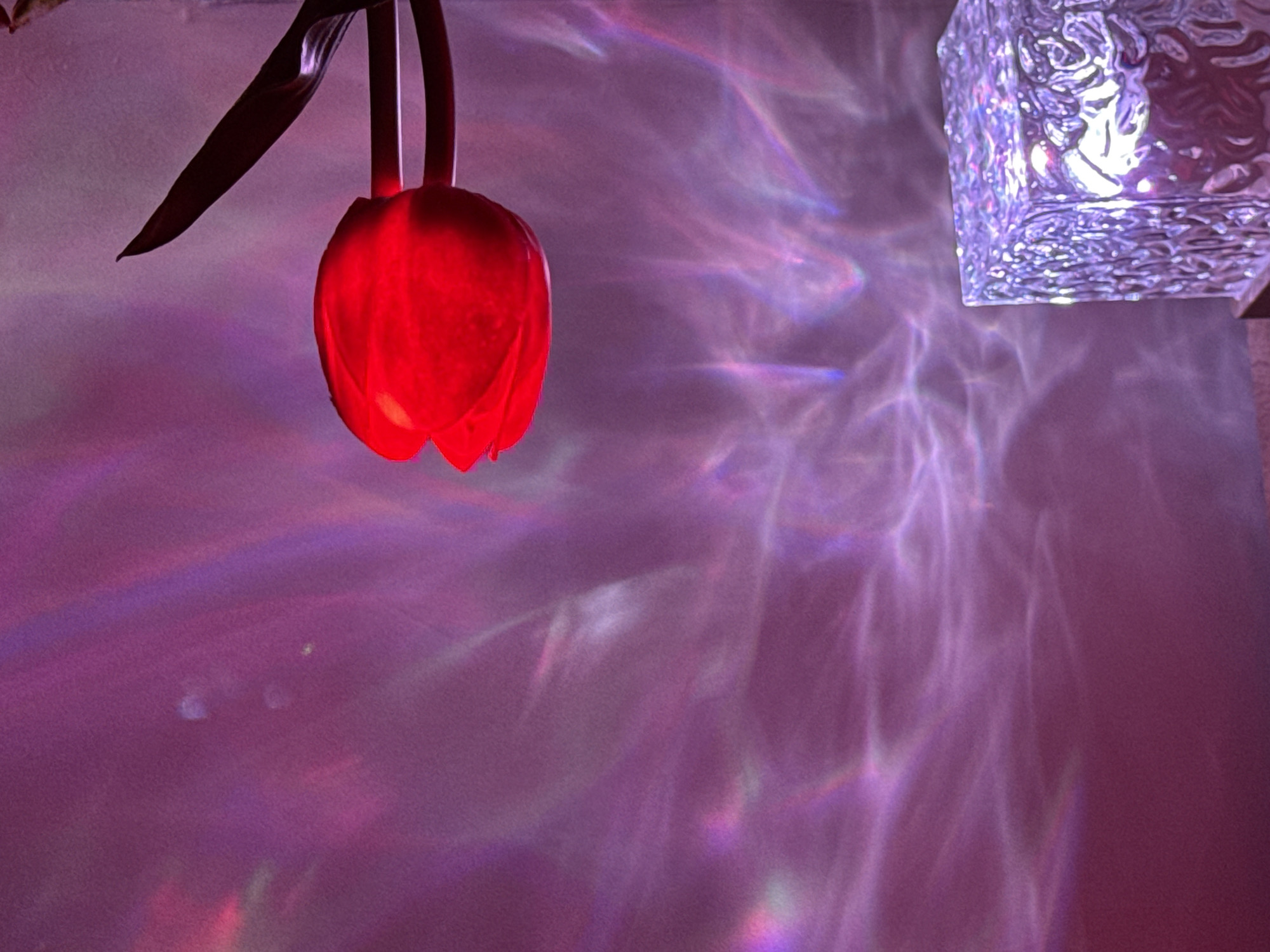A photograph of a hanging red tulip-shaped light fixture with a single dark leaf on the left side of the frame. The bulb of the fixture is brightly illuminated. To the right, there's a partially visible textured square light fixture or decorative piece. The background appears to be a wall illuminated with complex refracted light patterns, giving off a violet or purple hue. The precise location and time of the photograph are unknown.