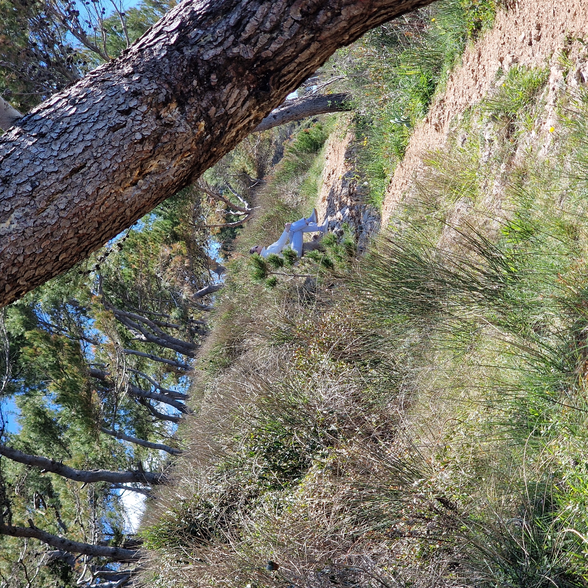 A full-length shot shows a person lying on a hill in Ulcinj-Ulqin, Montenegro. The person, presumably a woman, is wearing a white jacket and light-colored pants and boots. She is positioned in a grassy, uneven terrain dotted with sparse vegetation. Above her, a large tree trunk frames the upper left corner of the image. The background features a line of trees and a glimpse of the sky. The scene evokes a sense of quiet and solitude.