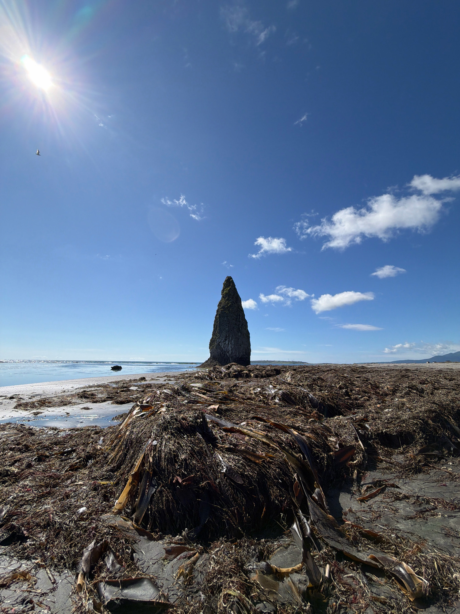 The image depicts a rocky spire protruding from a beach covered in seaweed. The sky is a clear blue with a few white clouds, and the sun is visible in the upper left corner, casting a lens flare. The foreground is dominated by a dense layer of dried seaweed and other organic debris on the sand. In the middle ground, the ocean meets the shore, and a large, dark rock formation stands in the water near the beach. The background shows a distant coastline with mountains. The scene is a natural, coastal environment. The provided information states this is located in Yuzhno-Kurilsk, Russia.