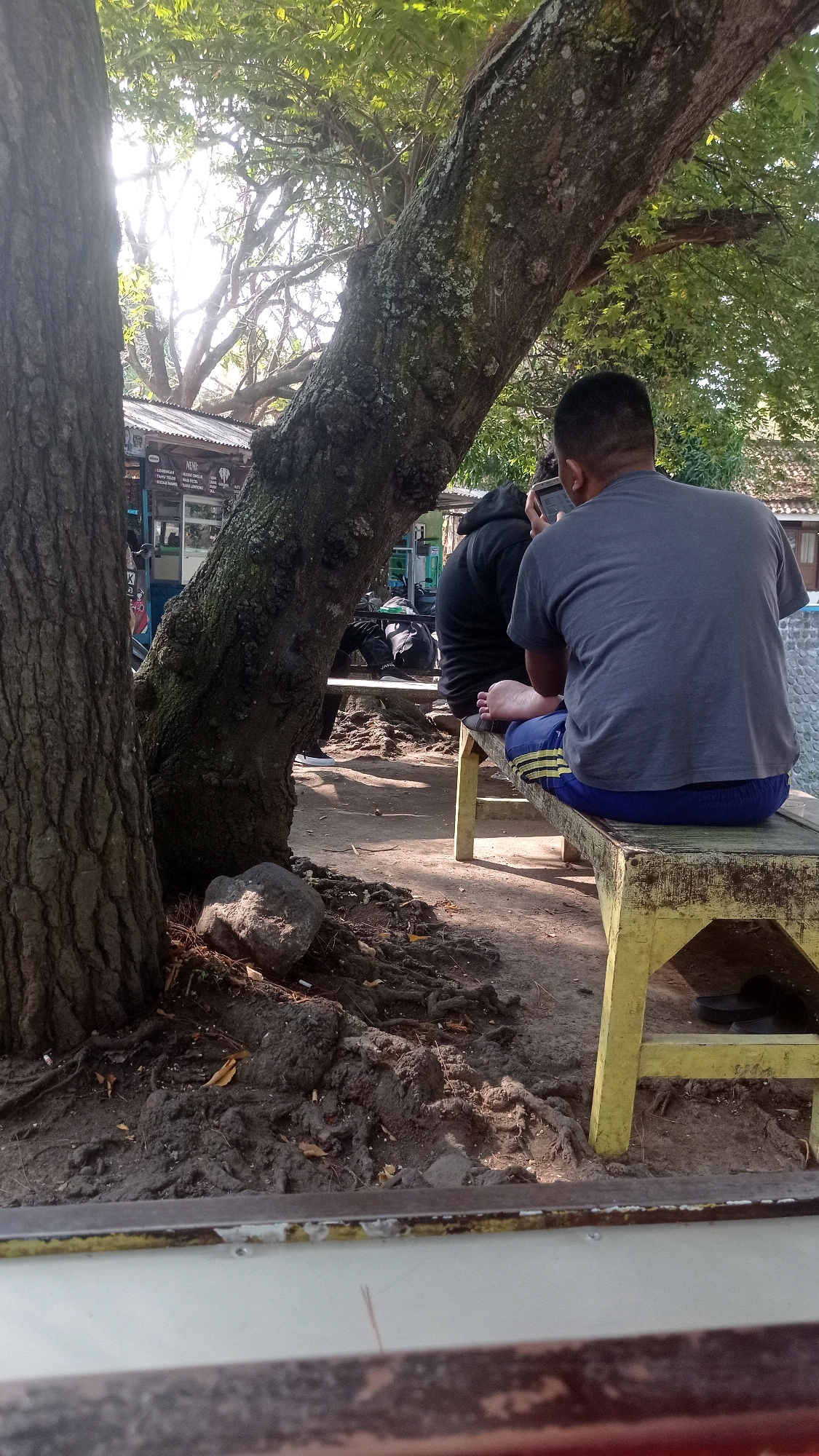In Mulyoagung, Indonesia, two individuals are seated on a weathered yellow wooden bench under the shade of large trees. The person on the right, viewed from behind, wears a grey t-shirt and blue shorts with yellow stripes. They are holding a smartphone. Beside them, another person in a black hoodie is also seated, partially visible. The ground beneath the bench is uneven, composed of dirt, exposed tree roots, and scattered rocks. In the background, a building with a corrugated metal roof and a sign board is visible, suggesting a commercial area or roadside establishment. The lighting indicates it is daytime, with sunlight filtering through the dense foliage.