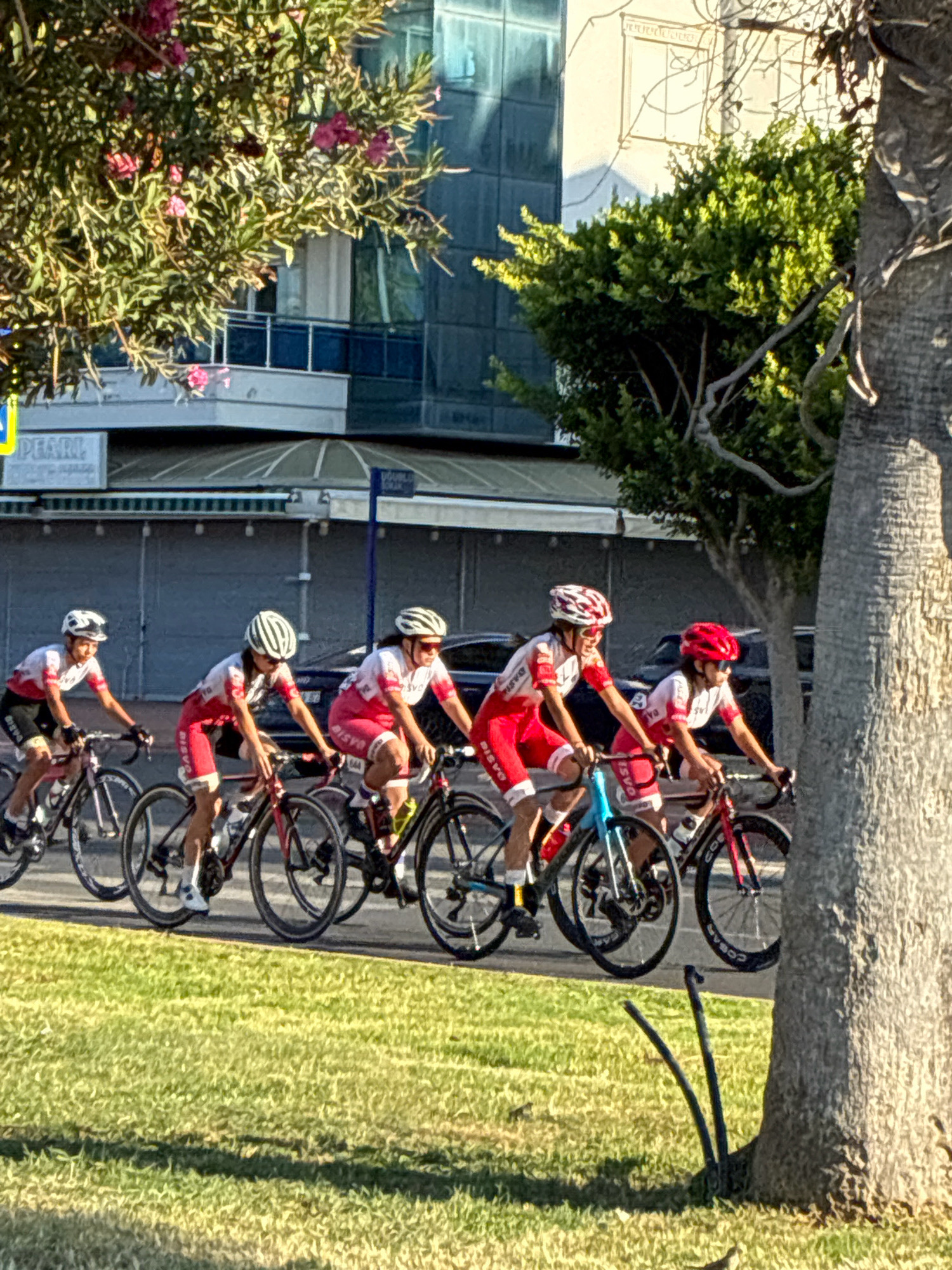 In Alanya, Turkey, on a sunny day, a group of five cyclists in matching red and white uniforms are riding their bicycles along a paved road, bordered by a strip of green grass on the left. They are positioned from left to right, with the first cyclist on the far left partially obscured by trees. The cyclists are wearing helmets and sunglasses, with the two cyclists in the center appearing to be actively racing, leaning into their pedals. Behind them, a dark-colored car is visible, suggesting the road is open to traffic. In the background, a modern building with glass windows and balconies is situated above a row of shops, one of which displays a yellow sign with the word "PEARL". The scene is framed by the thick trunk of a tree on the right and the foliage of flowering trees on the left.