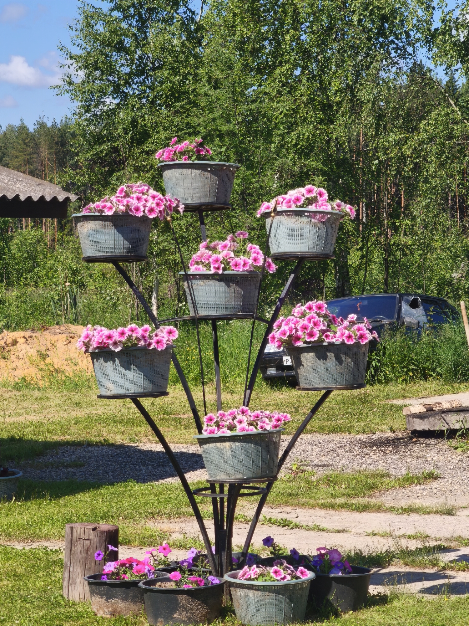 A multi-tiered flower stand holding numerous potted pink petunias is situated outdoors on a grassy area in the city of Kady, Russia. The stand is made of black metal and has a central support structure with arms extending outwards to hold seven pots. Below the stand, on the ground, are several additional potted flowers, including pink and purple petunias. To the left of the stand, a weathered wooden stump stands in the grass. In the background, tall green trees form a dense forest. Partially visible on the far left is the edge of a grey, corrugated roof structure. Further back and to the right, a dark-colored car is parked amongst overgrown grass, with its rear window broken. The ground surrounding the flower stand is a mix of grass and gravelly pathways. The sky above is blue with scattered white clouds, indicating a sunny day.