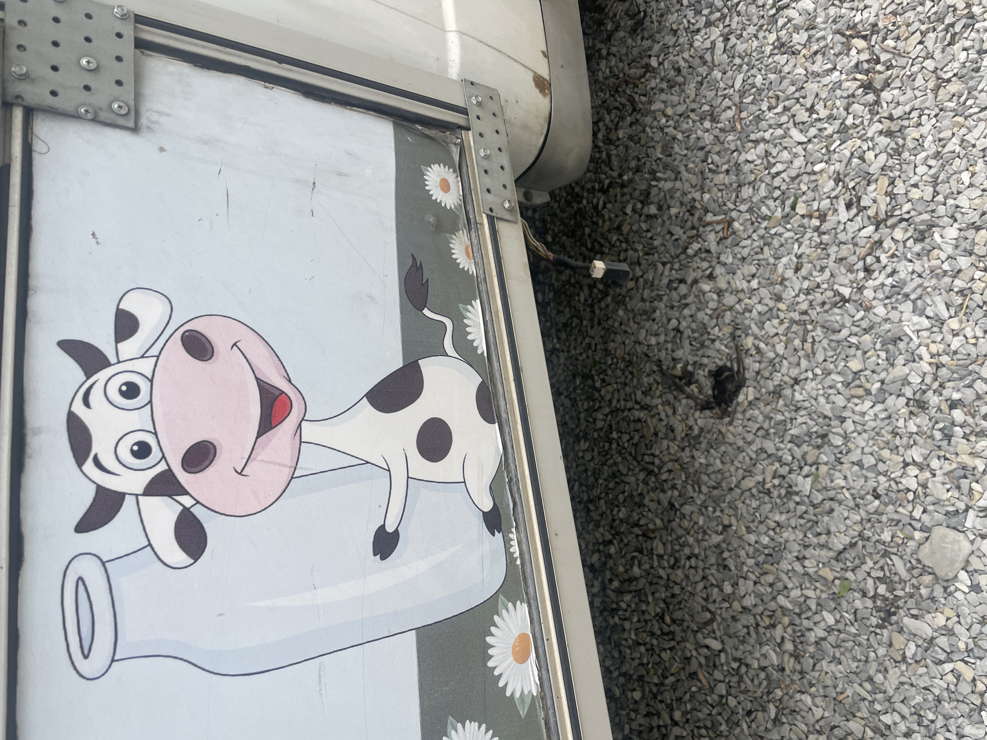 The image shows a portion of a vehicle, likely a van or truck, with a cartoon graphic of a cow reclining on a milk bottle. The vehicle's body is white or light gray. The cartoon cow has black spots, a pink face, and a smiling expression. White daisy flowers are part of the graphic around the edges. A metal bracket is attached to the vehicle's body with screws. To the right of the vehicle is a surface covered in gray gravel. There is no indication of the scene's location being Olginka, Russia.
