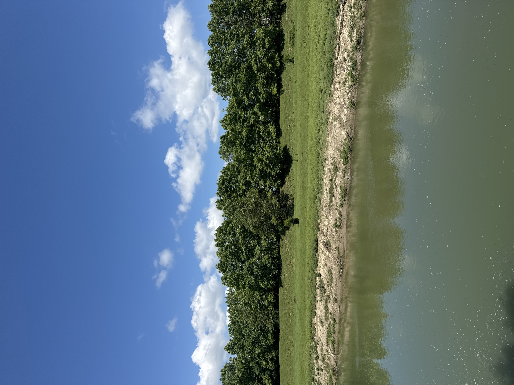 A serene natural landscape unfolds under a bright blue sky dotted with fluffy white clouds. In the foreground, a calm body of green water reflects the sky and the verdant scenery. The water's edge is marked by a strip of dry, rocky soil interspersed with sparse green vegetation. Beyond this, a gently sloping grassy embankment rises, leading to a dense line of lush green trees that form the horizon. The overall scene evokes a peaceful, undeveloped natural environment. There are no people or man-made structures visible, indicating a remote or protected natural area. The location is not specified as being in Darcheli, Georgia.