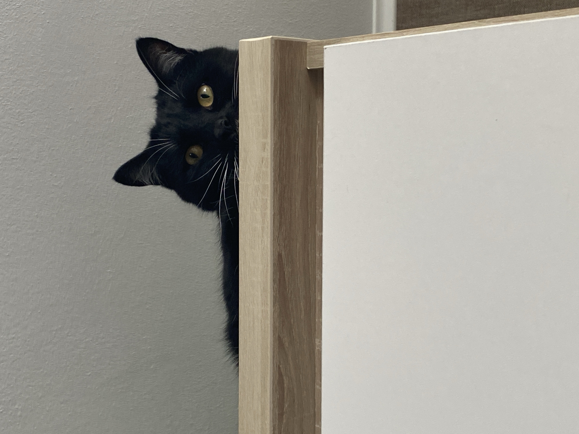 A black cat with golden eyes peeks from behind a light-wood-colored cabinet corner next to a white wall. The cabinet corner is to the right of the cat, and the white wall to the left.
