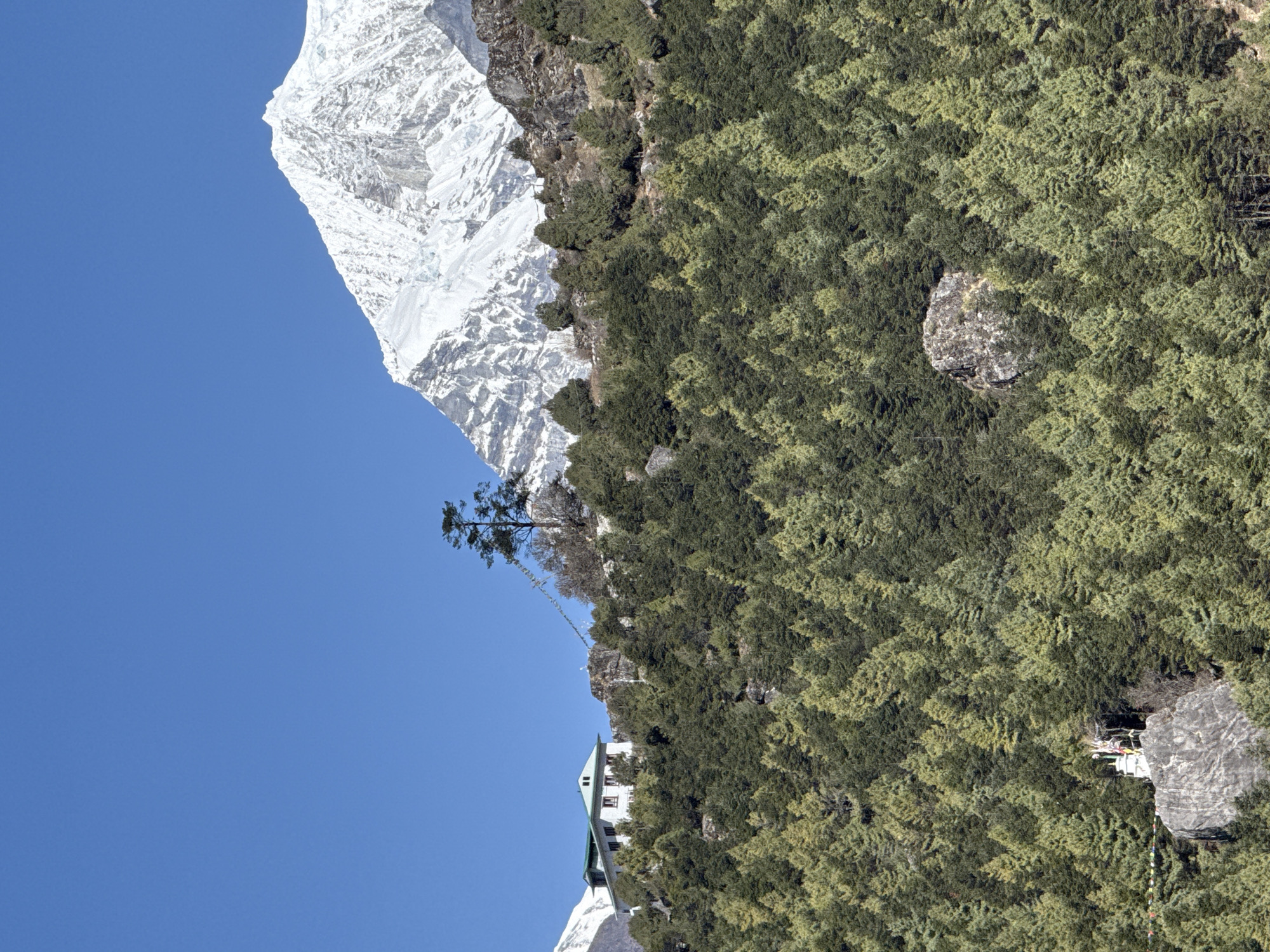 The image depicts the Hotel Everest View in Namche, Nepal, nestled among trees on a hillside, with a snow-capped mountain peak in the background. The sky is clear blue. A rock outcrop sits among the trees, and prayer flags are visible near a lone tree atop the hill.