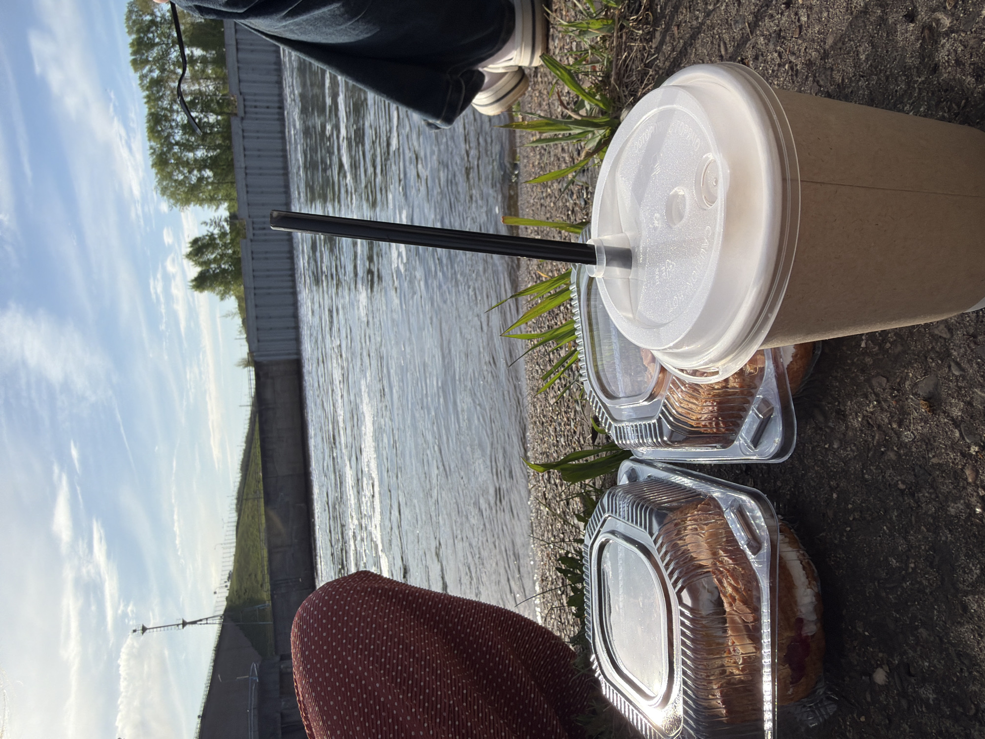 The scene is a picnic by the water. A person is seated next to a lake with food and a beverage. The person is wearing dark-colored jeans and white sneakers with stripes. They also have on a red shirt with white polka dots. There is a large brown paper cup with a white lid and a black straw. Two clear plastic containers with pastries are also present. The embankment is visible, with a concrete retaining wall and some trees on the opposite side of the lake. The sky is partly cloudy. Based on the embankment and landscape, this could potentially be in or near Chaikovsky, Russia.