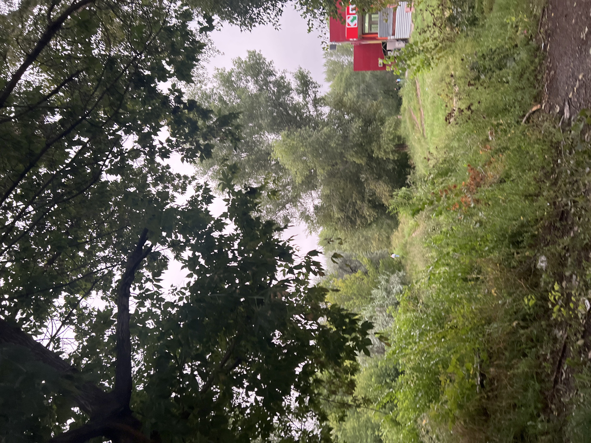 This image depicts an outdoor scene near a red building, likely a commercial establishment, with a distinct green roof and signage visible. The building is situated to the right of the frame, behind a dense growth of trees and vegetation. The foreground is dominated by an abundance of green foliage, including tall grasses and shrubs, with a dirt path or road winding through it. In the background, a tall deciduous tree stands prominently amidst a cluster of other trees. The sky appears overcast, suggesting a cloudy or hazy day. There are two individuals visible in the distance, appearing as small figures walking or standing. The overall environment suggests a somewhat unkempt, natural area adjacent to urban development. Based on visual cues, this location is likely Ulyanovsk, Russia.