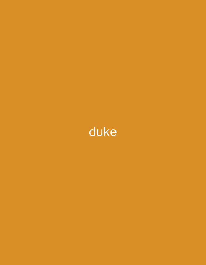 The image is a solid orange background with the word "duke" centered in white text. There is no discernible location in the city of Kępsko, Poland, or any other environmental details. The image contains no people, subjects, objects, or actions.