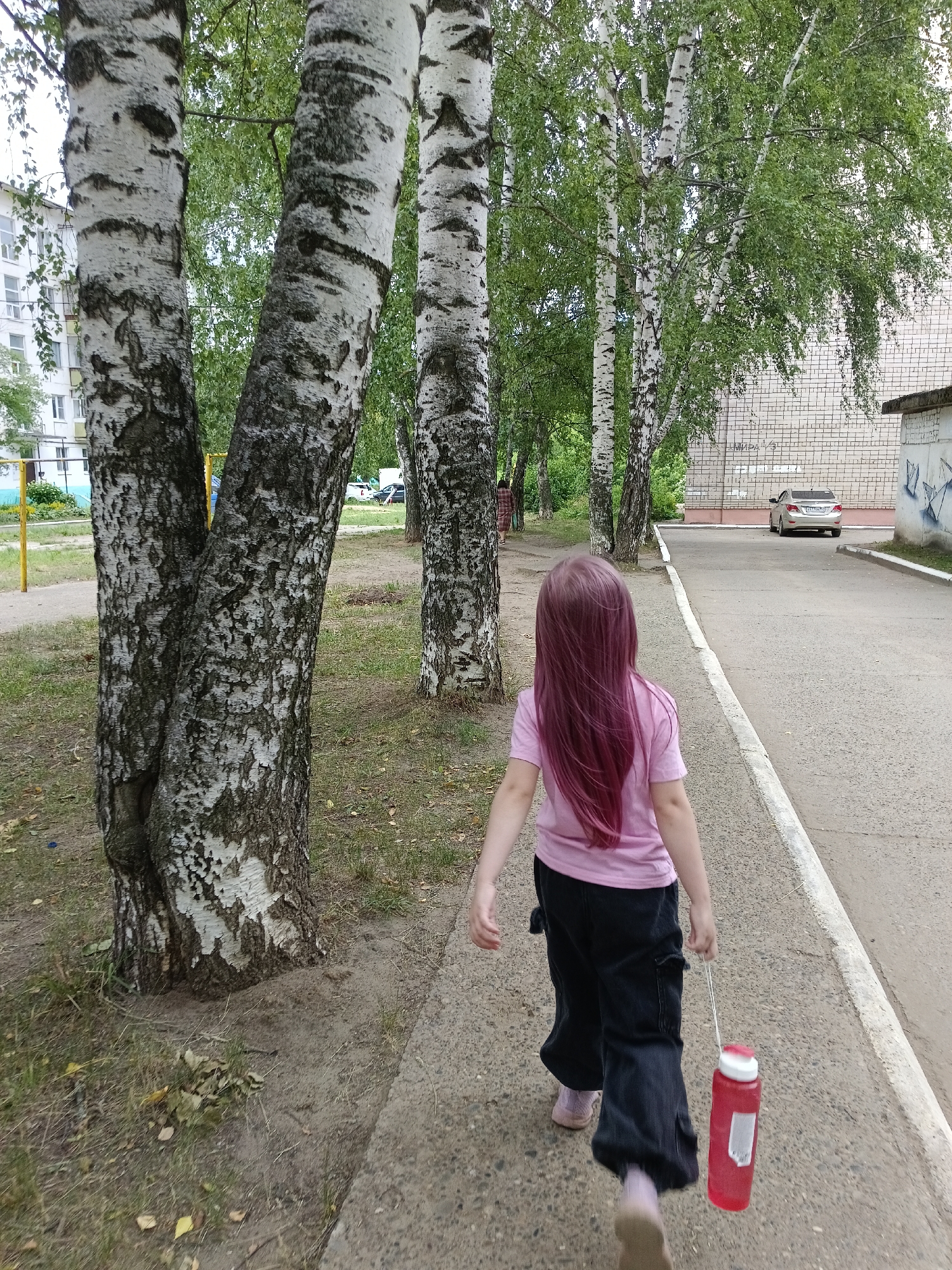 An outdoor, eye-level, full-shot photograph captures a young girl with long, purple hair walking along a concrete sidewalk. She is wearing a pink t-shirt and dark pants, and carrying a red water bottle by a white string in her right hand. The girl is walking away from the camera, towards a street on the right side of the image where a light-colored car is parked. To the left of the sidewalk, several birch trees with distinctive white bark and green leaves are prominent. Beyond the trees, a residential building with multiple windows is visible. The ground is covered with grass and some fallen leaves. The scene appears to be a residential area in the city of Chaikovsky, Russia, likely on a cloudy day given the soft lighting.