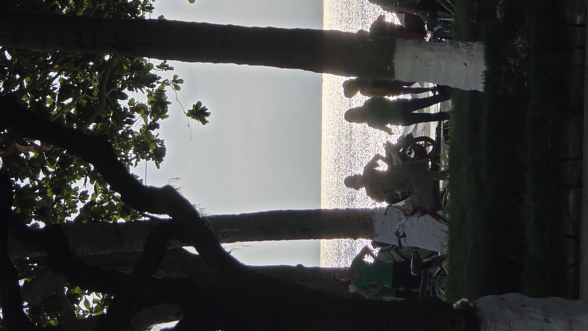 The image shows a waterfront scene in Nha Trang Ward, Vietnam. In the foreground are the silhouettes of trees and branches. In the background, the bright sun reflects off the water. Several silhouetted figures are seen on the waterfront, some standing and others near bicycles or a motorbike. One individual appears to be wearing a helmet. The composition frames the scene through the trees, highlighting the contrast between the dark foreground and the shimmering water.