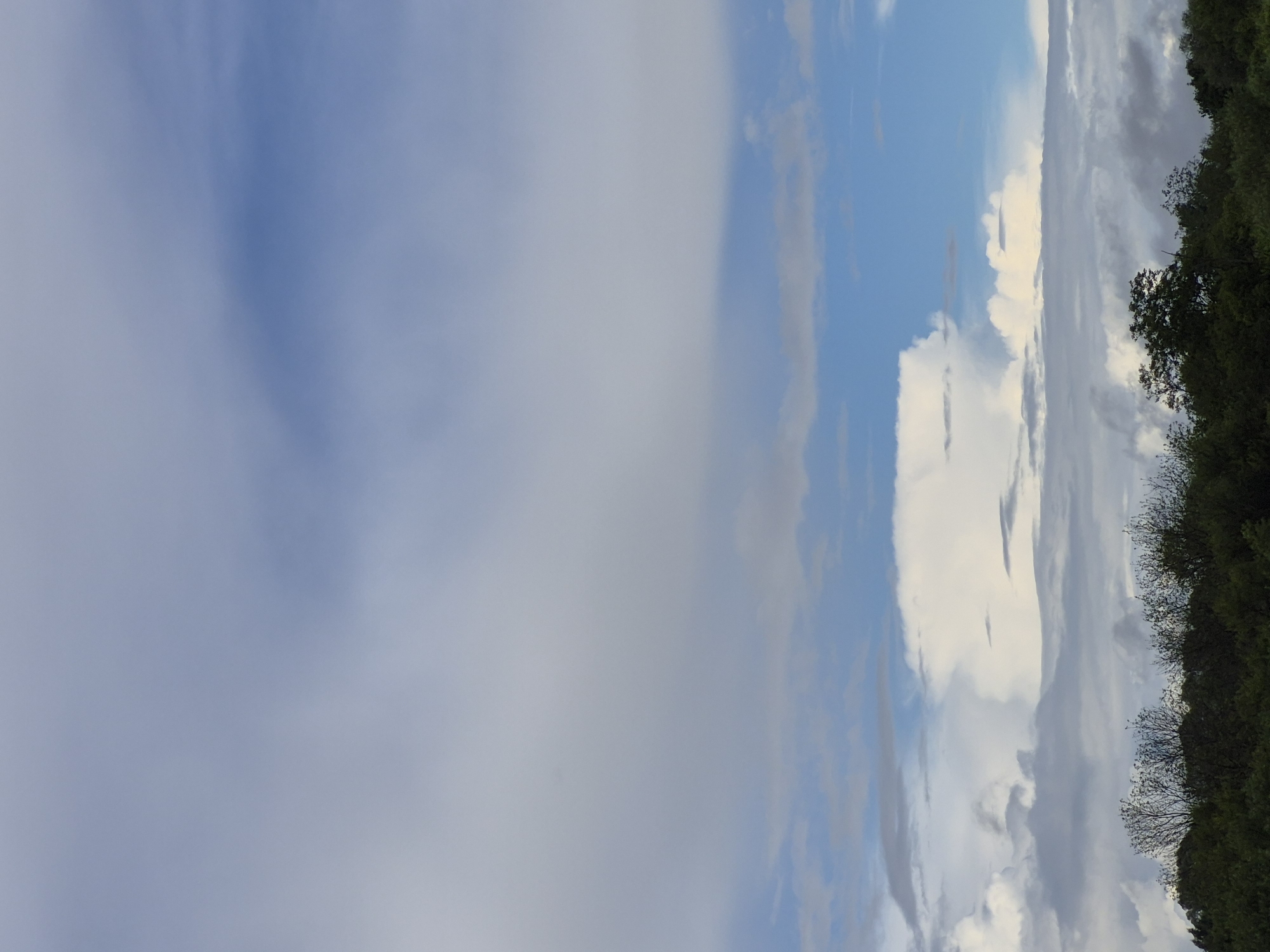 The image depicts a cloudy sky above a line of trees and foliage. The sky is filled with various cloud formations, ranging from thin, wispy clouds to larger, more defined cumulus clouds. Patches of blue sky are visible between the clouds. The lower portion of the image shows a dense canopy of dark green trees and some sparser, bare-branched trees at the top of the foliage line. The scene is a natural landscape without any visible man-made structures or people. The location is specified as the city of Sooblase, Estonia.