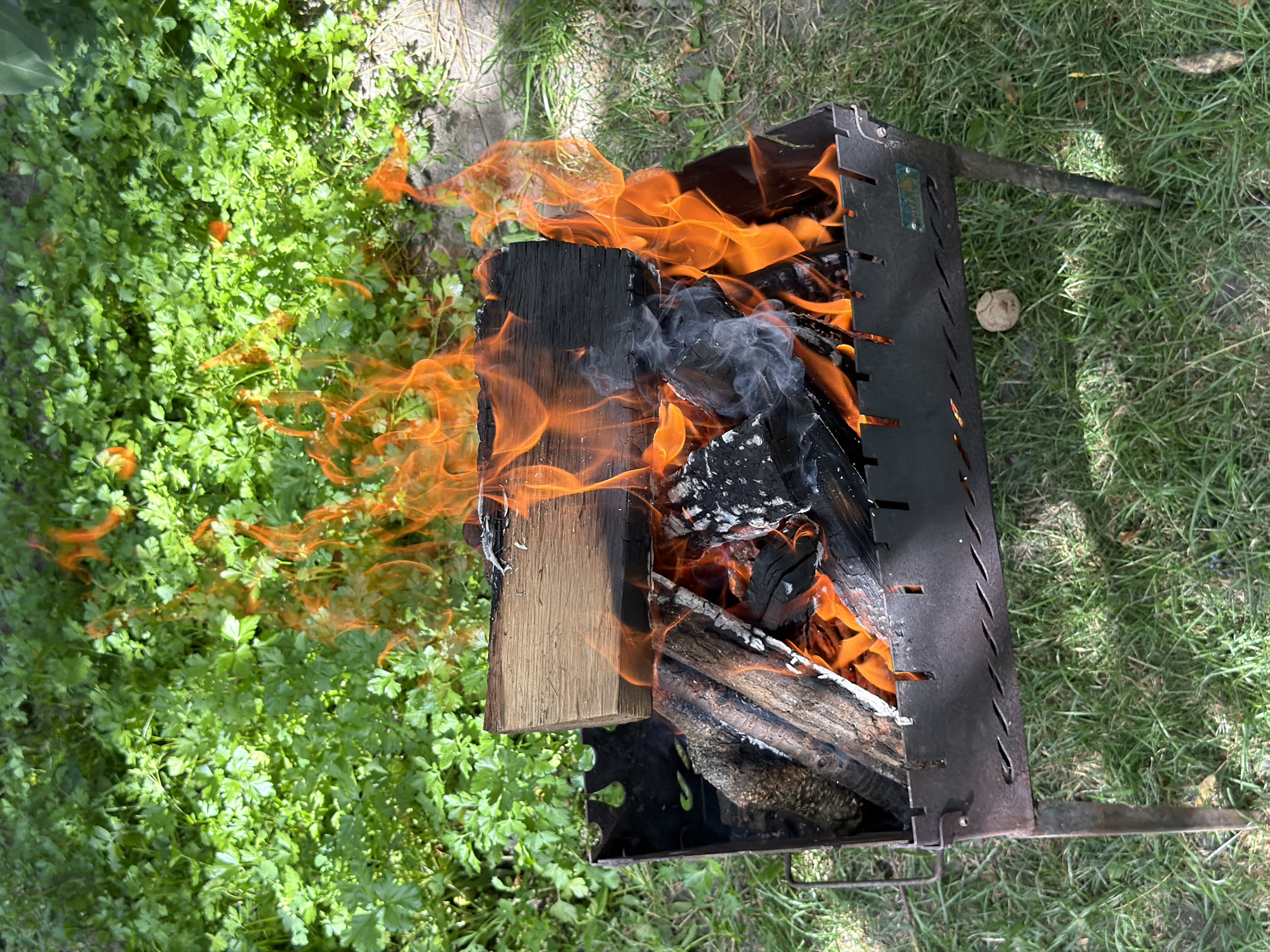 A metal grill filled with burning wood and a piece of lumber on top sits on a grassy area in Polonne, Ukraine. The grill has a rectangular body with cutouts along the top edge and is supported by four legs. Flames and smoke rise from the grill, with vibrant orange and yellow flames engulfing the wood. The surrounding environment consists of lush green grass and foliage, suggesting an outdoor setting, possibly a backyard or park. No people or animals are visible in the image.