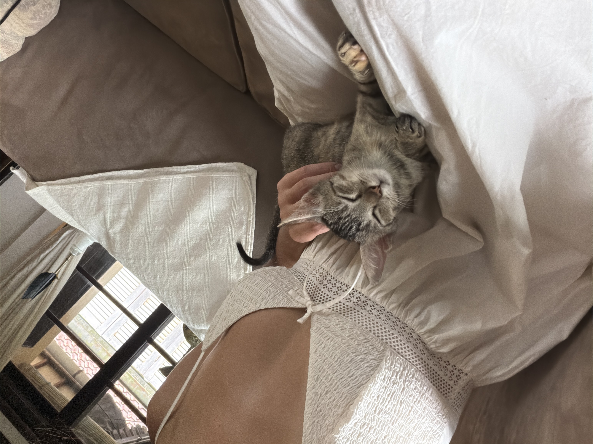 The image offers a close-up, top-down perspective of a person gently interacting with a sleeping cat in a cozy indoor setting, likely in Tegallalang, Indonesia.
The primary subjects are a small, grey and black striped tabby kitten and a partially visible person. The kitten is deeply asleep, lying on its back or side with its eyes closed and its paws relaxed, one paw reaching upwards under a fold of white fabric, revealing pink toe beans. A human hand, with fair skin, is seen gently resting near the cat's head, implying affection or comfort.
The person is visible from the chest and shoulder down, wearing a white garment. This garment features intricate smocked fabric on the main body and delicate lace details along the neckline, adorned with a small white bow and a thin strap.
The setting includes a soft brown upholstered surface, likely a bed or couch, providing a comfortable base. Abundant white fabric, possibly bedding or a blanket, envelops the cat, contributing to a sense of warmth and security. In the upper left quadrant, through a window, an outdoor scene is visible. This view reveals various wooden architectural elements and possibly terracotta roof tiles, consistent with traditional building styles found in regions like Tegallalang, Indonesia.
The natural, bright lighting suggests it is daytime. The overall atmosphere is one of tranquility and tender companionship. There is no visible text in the image.