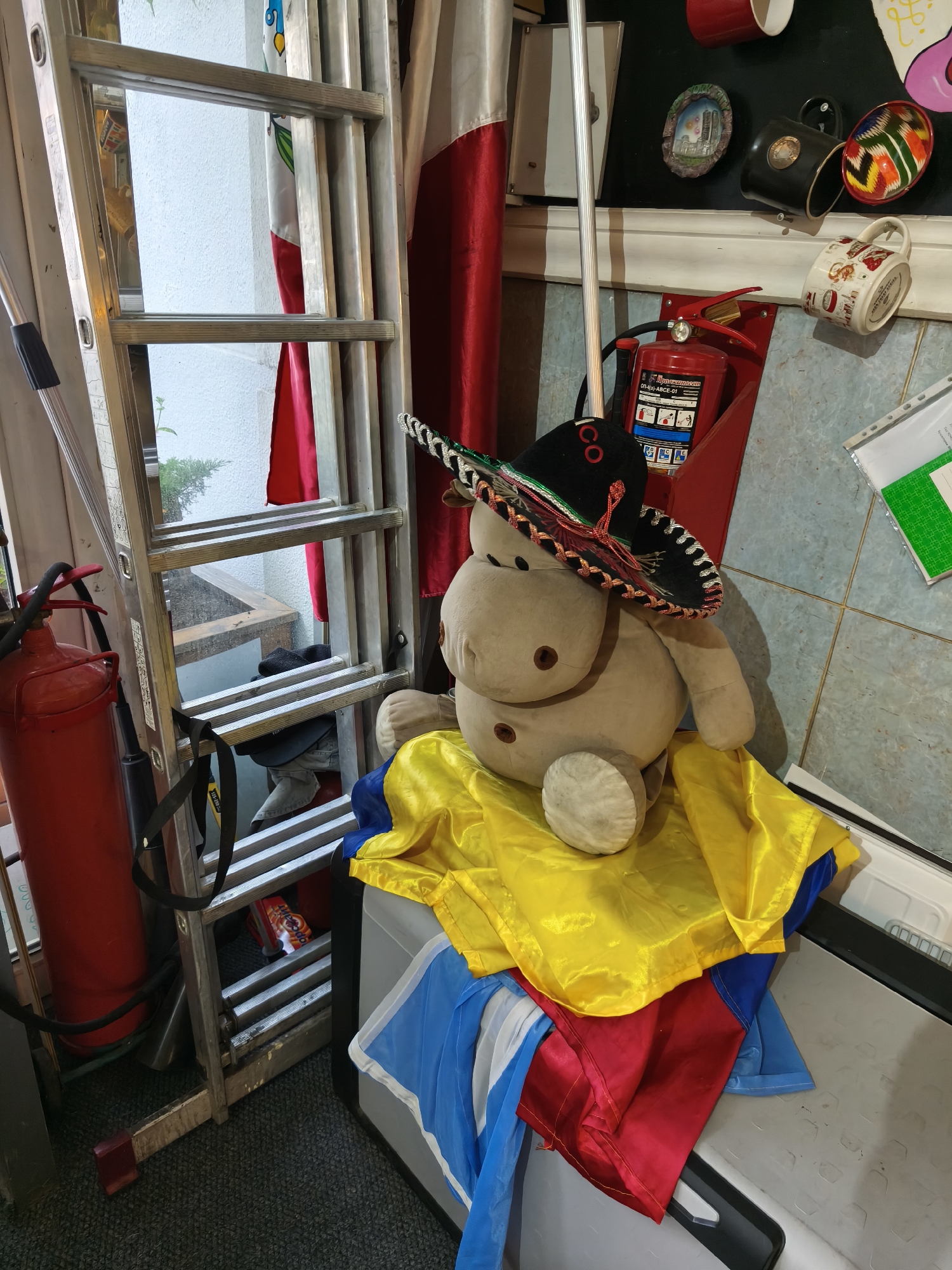 A stuffed toy resembling a bear or snowman, wearing a sombrero, sits on top of colorful flags, including yellow, red, and blue, which are draped over a white rectangular object, possibly a cooler or storage bin. To the left of the toy, a red fire extinguisher is mounted on a wall, and next to it, a silver extension ladder leans against the wall. The background shows a wall with various items attached, including mugs, a small framed picture, and a fire extinguisher. The floor is carpeted. The scene appears to be an indoor storage area or a room decorated for a festive occasion. The location is identified as Vladivostok, Russia.