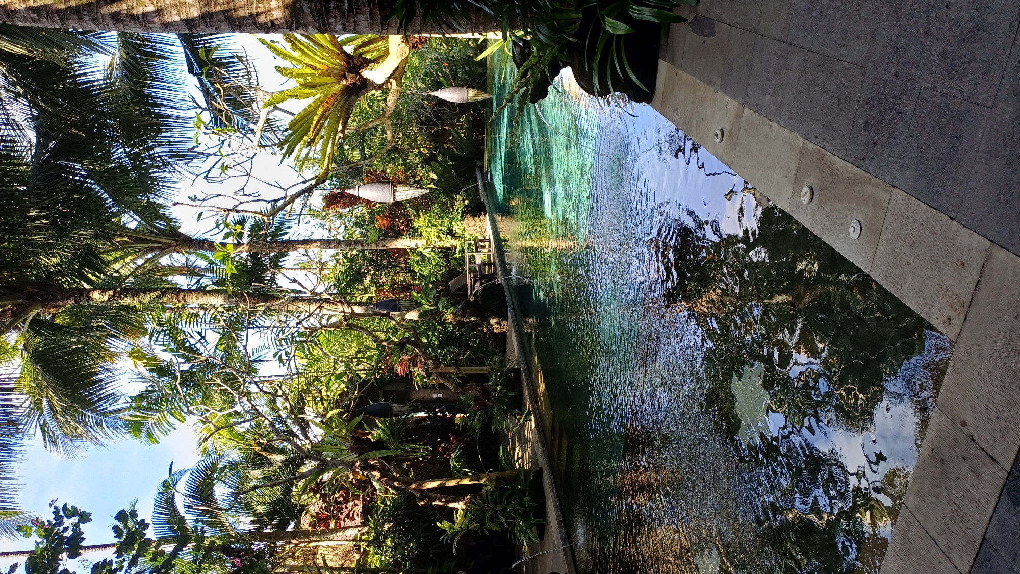 The image captures a long, narrow pool situated amidst lush tropical foliage. The pool's edge is constructed with light-colored stone, and the surrounding area is paved with a darker gray stone. Vegetation, including palm trees and various green plants, frames the pool area. Overhead, decorative light fixtures are suspended. The location is unknown.