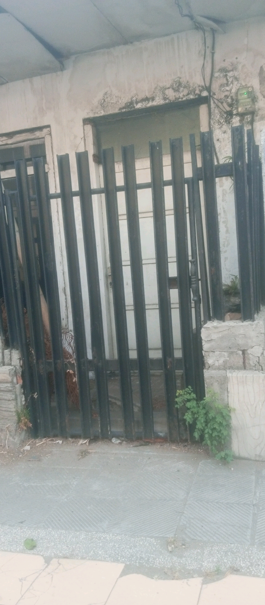 The image depicts a close-up view of a black metal gate with vertical bars, partially obscuring a white door and a rough-textured, off-white wall. The wall shows signs of wear, with discoloration and some patches of grime or mold. Above the door and wall, a grey, possibly concrete, overhang is visible, with some electrical wiring and a meter box attached to the wall. The ground in front of the gate is paved with grey tiles arranged in a geometric pattern, with some gravel and debris scattered around. To the right of the gate, a small cluster of green leafy plants grows against the wall and the gatepost. The overall impression is of an outdoor scene, possibly the entrance to a building, in a state of disrepair or neglect. The scene is set in the city of Kediri City, Indonesia.