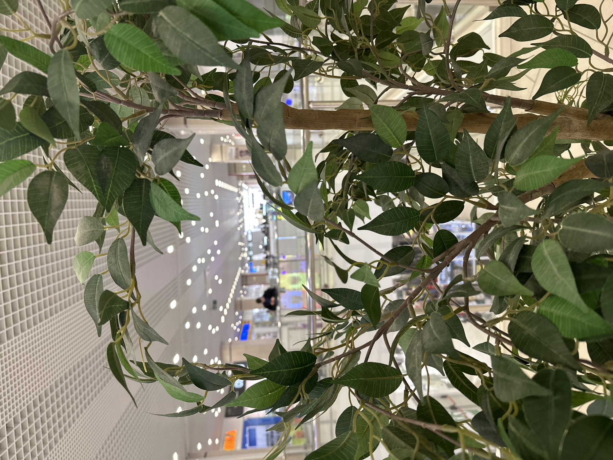The image shows an interior view through artificial foliage. The background reveals a brightly lit commercial space, possibly a shopping mall. The foreground is dominated by artificial tree branches with green leaves. The central portion of the image provides a view down a corridor with a grid-patterned ceiling and numerous recessed lights. A single figure, dressed in dark clothing, appears to be walking away from the viewer in the middle of the corridor. There are various display units and signage visible along the sides of the corridor, typical of retail environments. The photograph does not give any data to determine it's in Yekaterinburg, Russia.