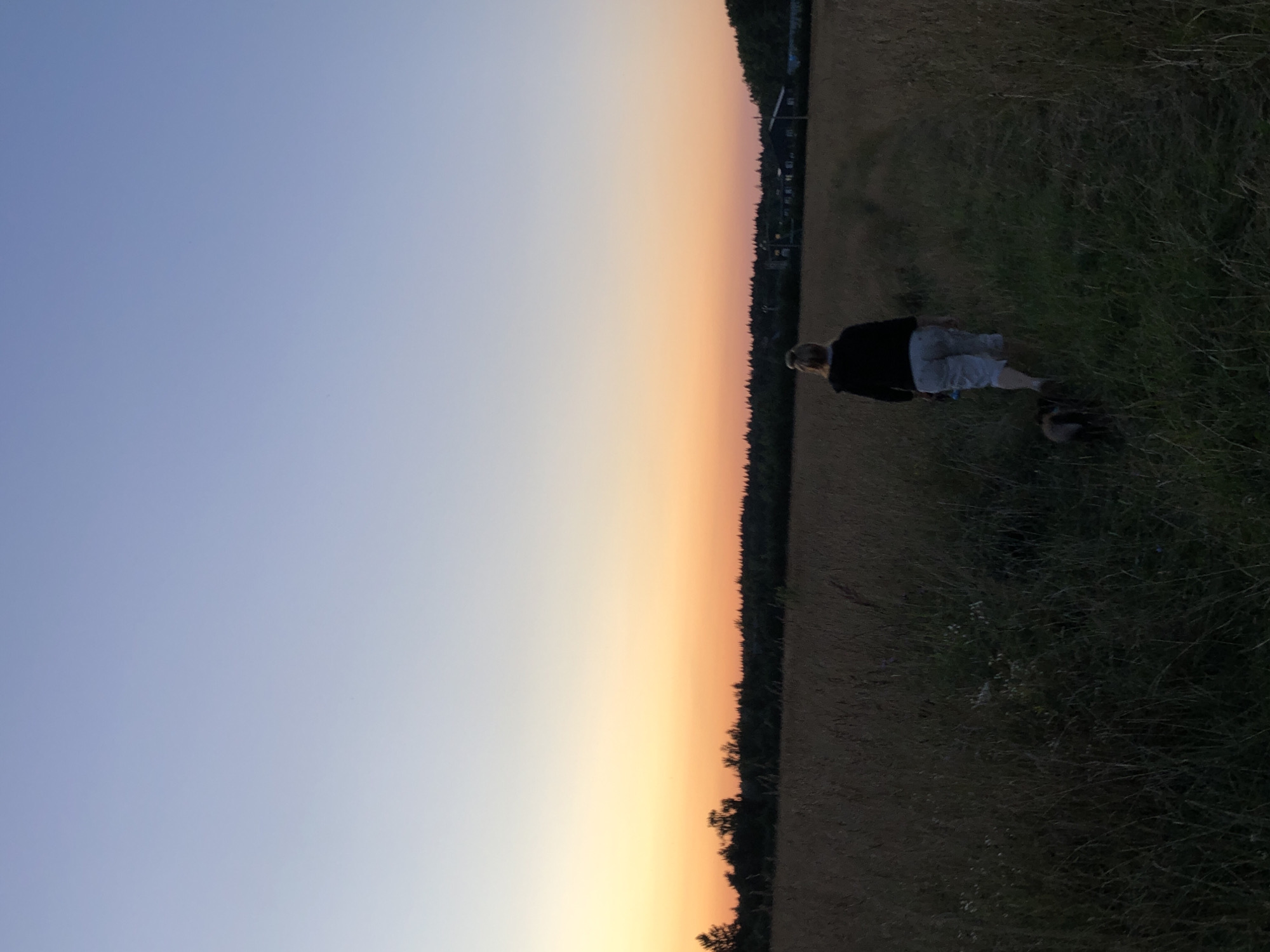 A rear view shows a person walking a dog through a field of tall, dry grass. The person is wearing a dark jacket and light-colored capri pants. The dog is small and appears to be leashed. The sun is setting, casting a warm orange glow across the horizon, which is lined with a dark forest. In the distance, there are some buildings visible. The sky transitions from a pale blue at the top to shades of orange and yellow near the horizon. The scene is devoid of any specific landmarks indicating the city of Makeikha, Russia.