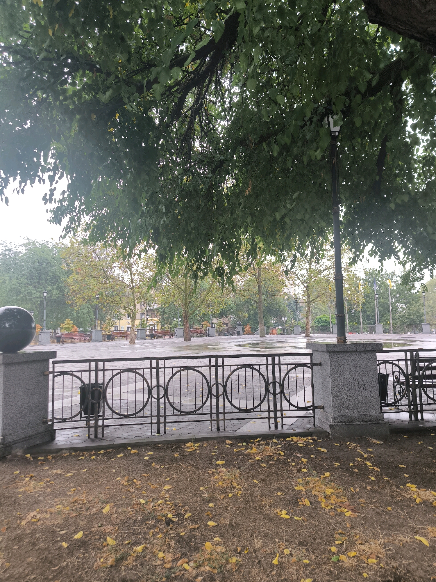 The image depicts an overcast day in Mykolaiv, Ukraine, likely in autumn given the fallen yellow leaves scattered across the ground. A large tree with abundant green foliage dominates the foreground, casting shade over the scene. Beneath the tree, a park or public square is visible, characterized by a paved area with puddles reflecting the sky, indicating recent rain. A decorative metal fence with circular motifs separates the foreground from the paved area. Beyond the fence, benches are arranged, suggesting a space for public gathering or relaxation. In the background, there are more trees and buildings, with a lamppost visible near the center of the frame. The overall atmosphere is calm and quiet, with no people present in the scene. The image provides a glimpse into a public space in Mykolaiv, highlighting its natural elements and urban infrastructure.