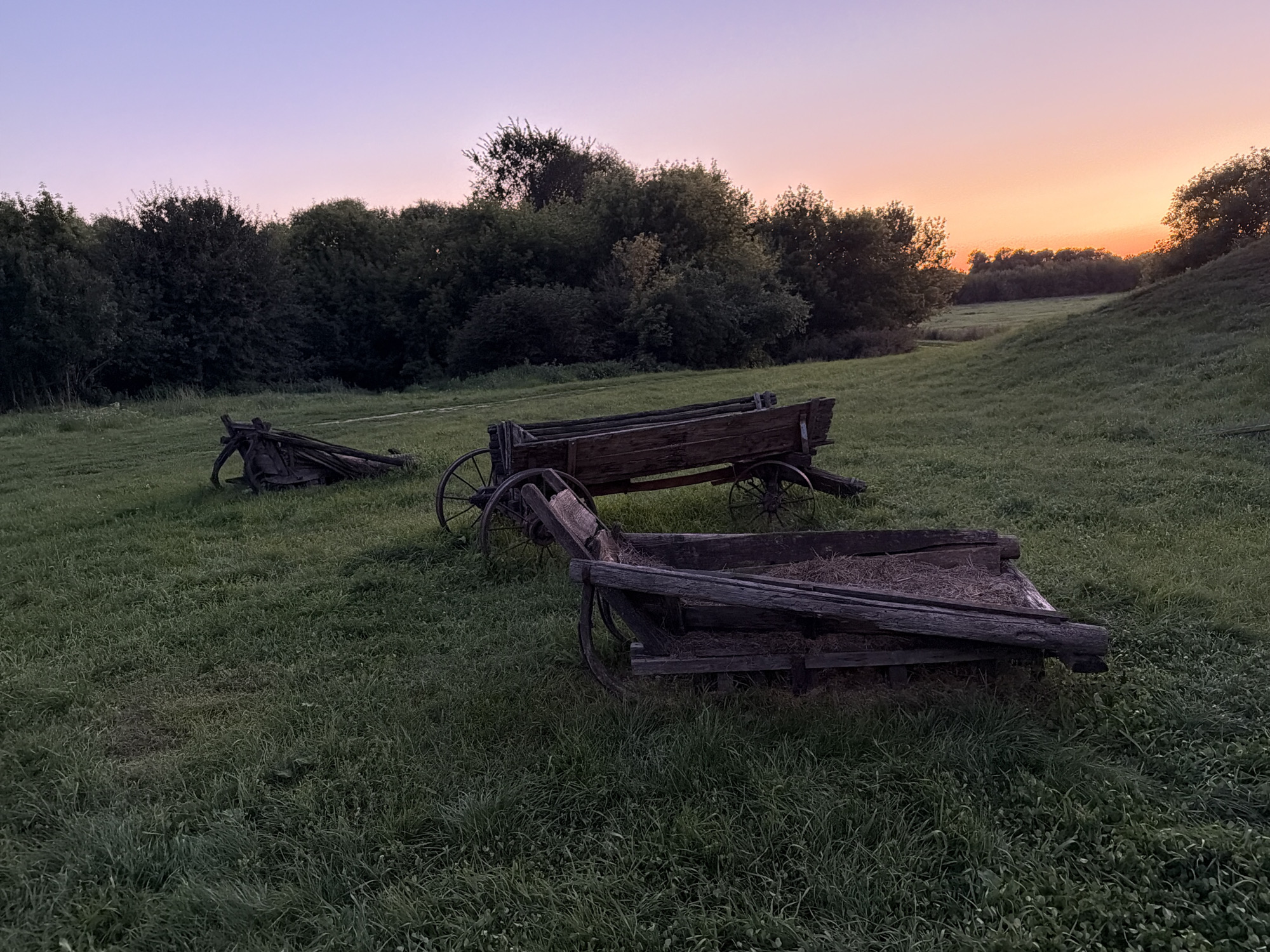 The image depicts an outdoor scene at dusk in the village of Skornyakovo, Russia. The sky displays a gradient of soft pink and orange hues transitioning to a pale purple. In the foreground, there are two weathered wooden carts resting on a grassy field. The cart on the left is partially disassembled, with its wooden components scattered. The cart on the right is intact, filled with straw. Behind the carts, a dense line of dark green trees forms a natural border. Further in the background, the landscape opens up to rolling hills and more trees, bathed in the soft light of the setting sun. The overall atmosphere is serene and rural. There are no people present in the image.