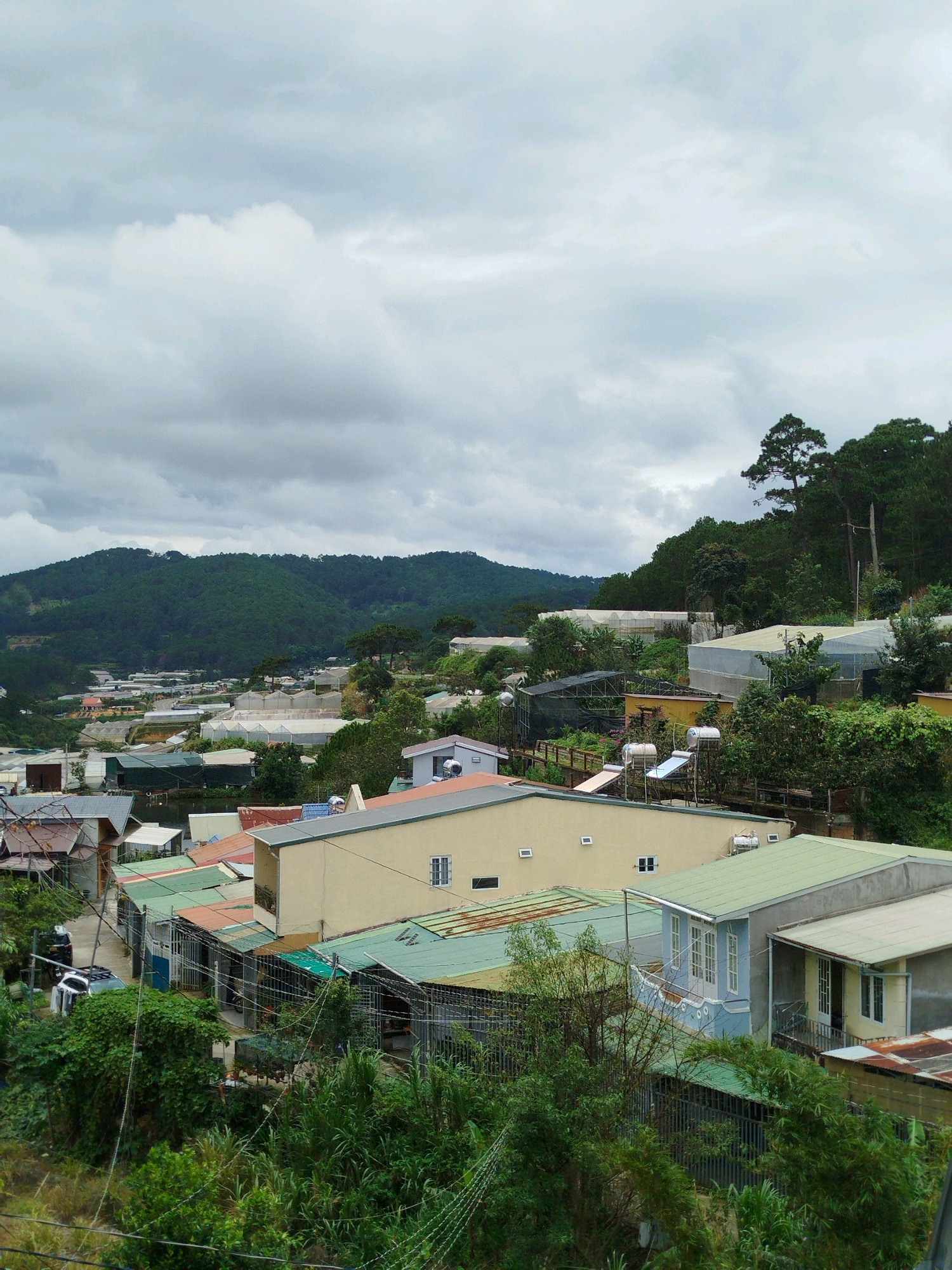 This is a high-angle, full-shot photograph capturing a residential area nestled within the verdant hills of Da Lat, Vietnam, under a heavily overcast sky. The landscape is characterized by a dense tapestry of green foliage, with rolling hills covered in dark green forests dominating the background. In the middle ground, a cluster of houses with predominantly tin roofs in various shades of green, orange, and gray are visible. Many of these structures appear to be single-story dwellings with small windows. Beyond the houses, numerous greenhouses, covered with white plastic sheeting, dot the landscape, suggesting agricultural activity, likely flower or vegetable farming, which is common in Da Lat.
The foreground is filled with lush, overgrown vegetation, including dense bushes and trees, with some power lines crisscrossing the lower portion of the frame. Several cars, including a white SUV and a dark sedan, are parked along a narrow, unpaved road that winds through the settlement. Two solar water heaters are visible on a rooftop, indicating a focus on renewable energy. The architecture of the houses is modest, with simple designs and functional appearances. The overall impression is one of a rural or semi-rural community integrated with agricultural infrastructure, set against the backdrop of Da Lat's characteristic hilly terrain and often cloudy weather. No people are clearly visible in the image.