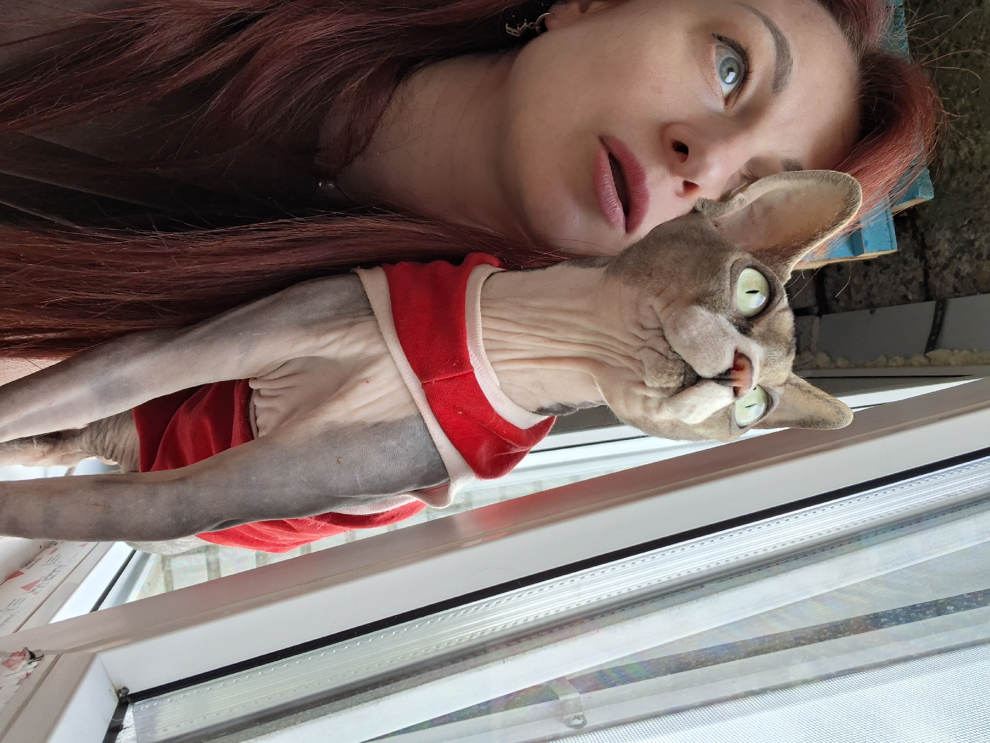 A close-up, high-angle, medium outdoor shot shows a woman with long, reddish-brown hair and a light-skinned Sphinx cat. The woman is looking up and to the left with a surprised expression, her mouth slightly open. She is wearing a dark brown shirt and a small silver earring. The Sphinx cat, positioned to the right of the woman and slightly in front of her, is wearing a red velvet vest with a white trim. The cat is also looking upwards and to the left with bright green eyes, its head tilted back. The background consists of a window frame and a partially visible screen with vertical blinds. A portion of a blue wooden structure is visible behind the woman's head, and the texture of a rough stone wall can be seen in the upper left corner. The scene appears to be set in an urban or suburban environment, potentially a balcony or an apartment window, given the presence of the window and the structures. The lighting suggests it is daytime.
