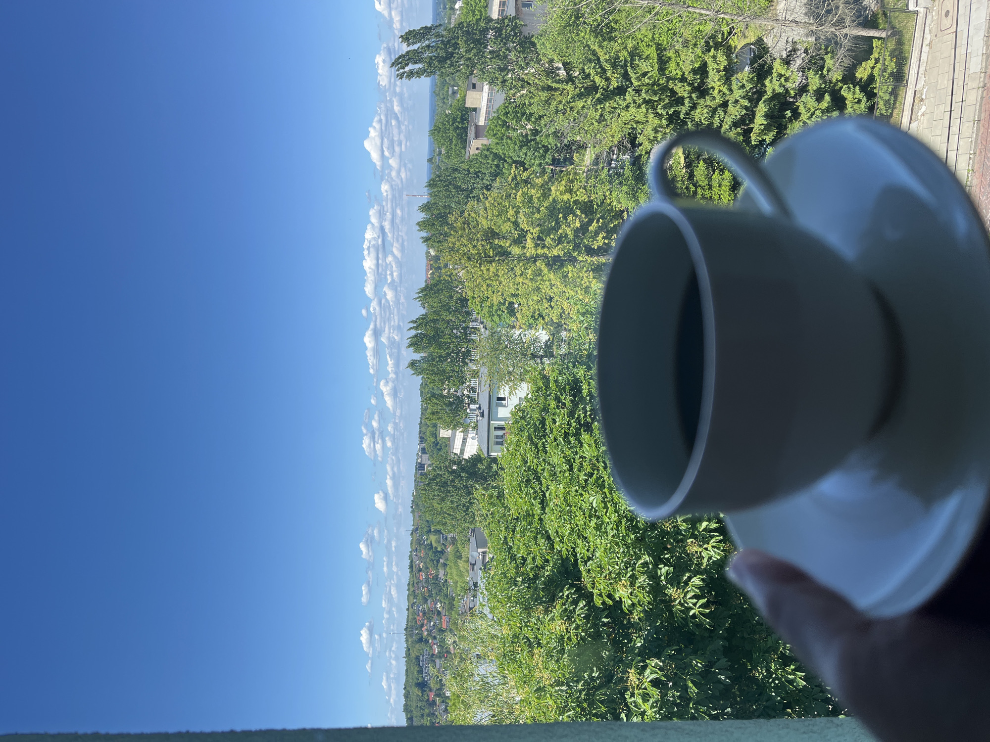 The image depicts a high-angle view from a window, looking out over a sprawling urban or suburban landscape under a clear, sunny sky. In the immediate foreground, a light-skinned hand, partially visible on the lower left, holds a white ceramic cup containing a dark liquid, resting on a matching saucer. The cup and saucer are slightly out of focus.
The view beyond the window features dense, verdant foliage, primarily a mix of deciduous and coniferous trees, dominating the mid-ground. Scattered among the trees are various buildings. On a distant, undulating hillside to the left, numerous residential structures with predominantly red-tiled roofs are visible. In the closer mid-ground, flatter-roofed, light-colored buildings are interspersed within the tree line. A tall, slender mast or antenna structure rises from the distant hill on the upper left. A paved path or road with a metal fence is briefly visible below the tree line on the lower right, indicating the ground level outside.
The upper portion of the image showcases a bright, clear blue sky dotted with numerous small to medium-sized, white cumulus clouds. A faint, hazy horizon line is discernible in the far distance, suggesting a flat plain or distant body of water towards the right side of the frame. The strong, natural illumination suggests it is daytime. The location is the city of Unknown, Unknown.