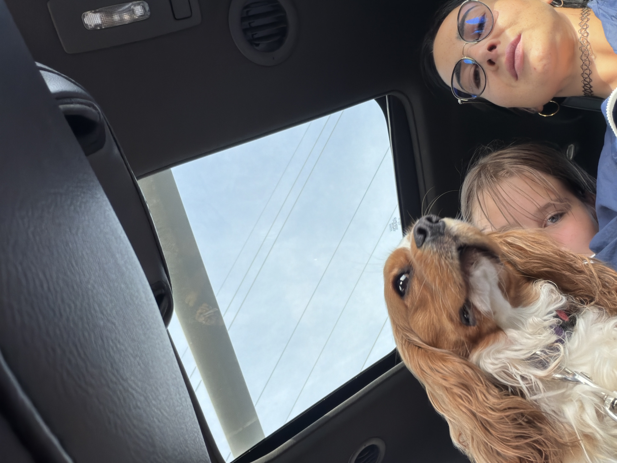 The image captures a close-up selfie taken inside a vehicle, with the camera positioned looking upwards towards the sunroof. In the foreground, a Cavalier King Charles Spaniel dog with brown and white fur is prominently featured, looking to the left with its head tilted. Partially obscured behind the dog is a young child with blonde hair. To the right of the child is a woman wearing glasses and a blue jacket. She is looking directly at the camera, and her facial expression suggests a relaxed or amused demeanor. She is also wearing a choker necklace and hoop earrings. The sunroof of the vehicle is open, revealing a bright sky with thin, horizontal lines that may represent power lines or clouds. The interior of the car, including the ceiling and an air vent, is visible in the background. The overall scene appears to be a casual moment captured while traveling in a car. The location within Veliky Novgorod, Russia cannot be determined from the image.