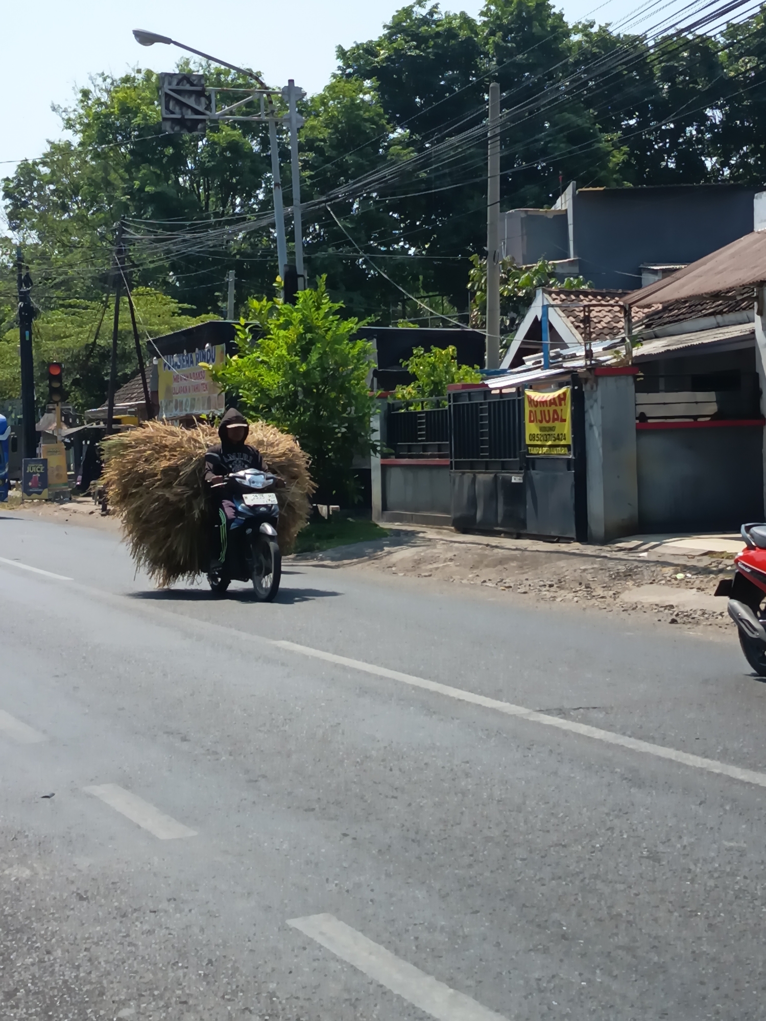 A person wearing a dark hoodie rides a motorcycle on a paved road in Kandangjati Kulon, Indonesia. The motorcycle is loaded with a large bundle of hay or straw, which extends significantly to either side of the rider. The rider is obscured by the bundle. On the left side of the road, a traffic light is visible. In the background, there are trees and buildings, including a house with a "DIJUAL" (For Sale) sign in yellow. The road has white lane markings. The sky is clear and blue.