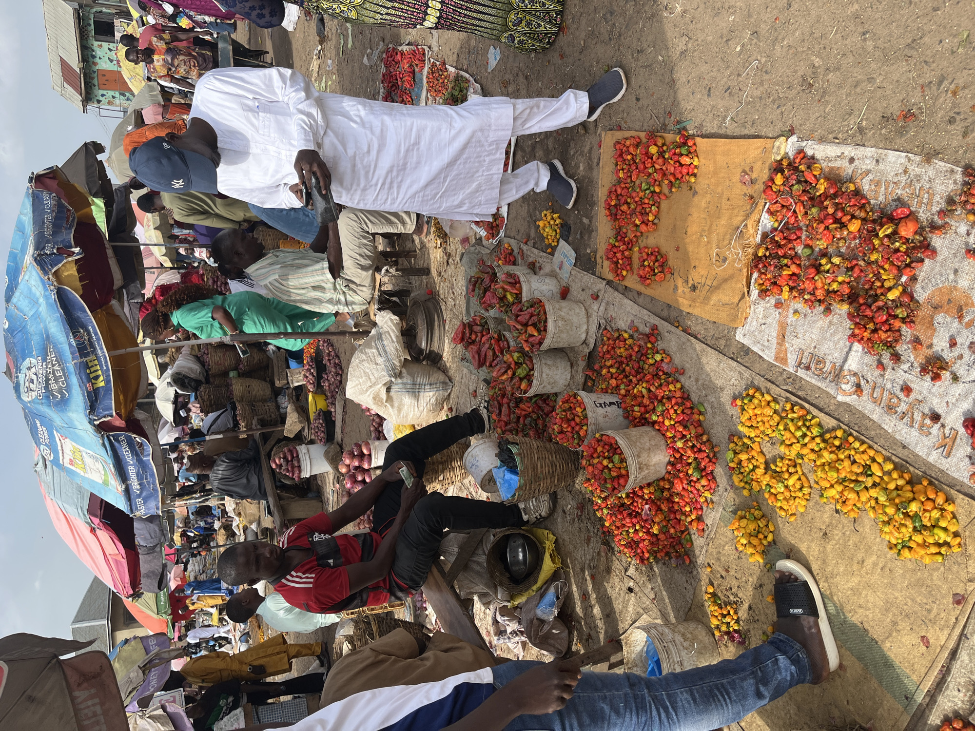 This media file depicts a bustling outdoor market scene in Rafin Par, Nigeria. The primary subjects are a group of people, likely vendors and shoppers, engaged in commerce. Scattered throughout the scene are various objects, prominently featuring large quantities of colorful chili peppers, displayed in buckets and spread across tarps. Baskets, sacks, and umbrellas are also visible, contributing to the market atmosphere.
The activity appears to be the selling of produce, with vendors arranging and displaying their goods. One man in a white traditional outfit, wearing a blue baseball cap, is a focal point. Other individuals are seen in casual attire, some sitting and interacting with the merchandise. The ground is a dusty, sandy surface, typical of an outdoor market.
Notable details include the vibrant hues of the peppers, ranging from red to yellow, suggesting a variety of chilies being sold. The time of day seems to be daytime, with bright sunlight casting shadows, indicating fair weather. The setting is clearly a market, with makeshift stalls and vendors actively participating in the trade. Some of the visible text includes brand names and descriptive phrases like "FASTER VIBRIGHTER CLEANER" and "LUOFU," likely related to cleaning products advertised on the umbrellas, which adds a layer of detail to the commercial environment. The overall emotion conveyed is one of lively commerce and daily life in a Nigerian market.