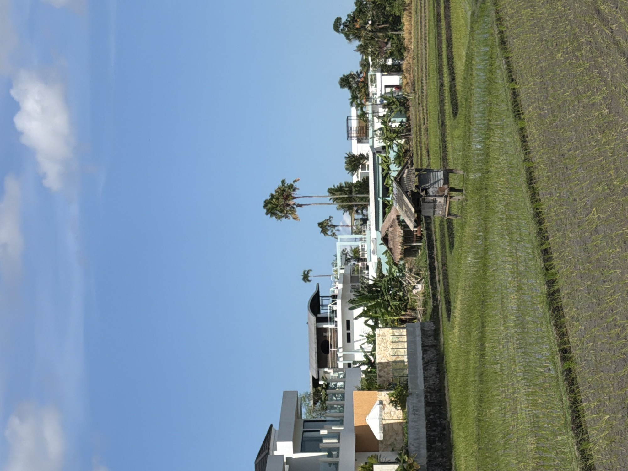 The image shows a view of North Kuta, Indonesia, featuring a rice paddy field and several modern houses. The sky is blue with some clouds. Palm trees are interspersed among the buildings and the rice paddy field. A small shack-like structure stands within the rice field. The rice paddy appears to be flooded. The houses are multi-story and modern in design, with balconies and flat roofs.