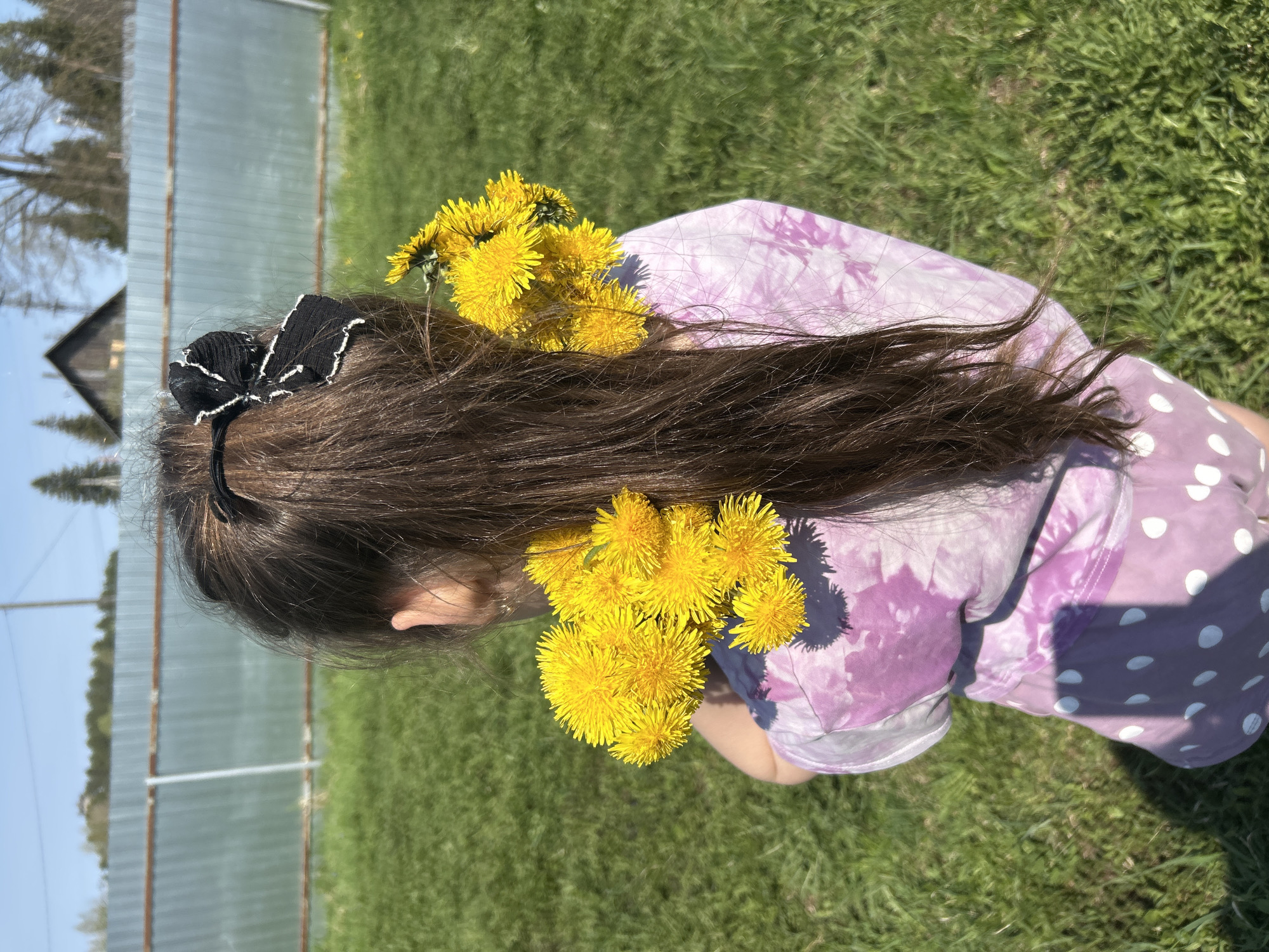 A young person with long brown hair, adorned with dandelions, is seen from above. The hair is held back with a black bow. They are wearing a purple tie-dye shirt with white polka dots on the sleeves. The setting is an outdoor grassy area in the city of Chaikovsky, Russia. A galvanized metal fence and a building are in the background.