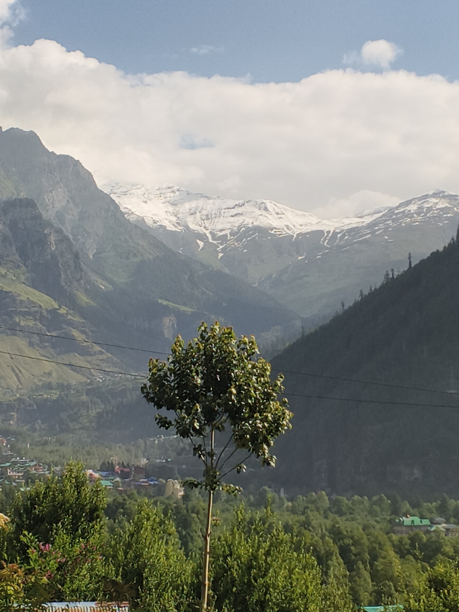 The image depicts a majestic mountain landscape, likely in the vicinity of Shanag, India, characterized by snow-capped peaks under a partly cloudy sky. The foreground is dominated by lush green trees and vegetation, with a single, slender tree positioned centrally. In the mid-ground, a small village or town is nestled amongst the trees, featuring buildings with colorful roofs, including prominent green ones. The background reveals layered mountain ranges, with the highest peaks covered in snow. The overall scene evokes a sense of natural beauty and tranquility.